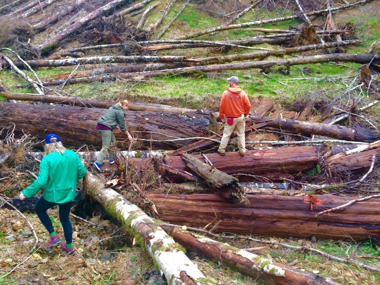 From Trees to Seas Marine Team Visit Ellsworth Creek — The Nature