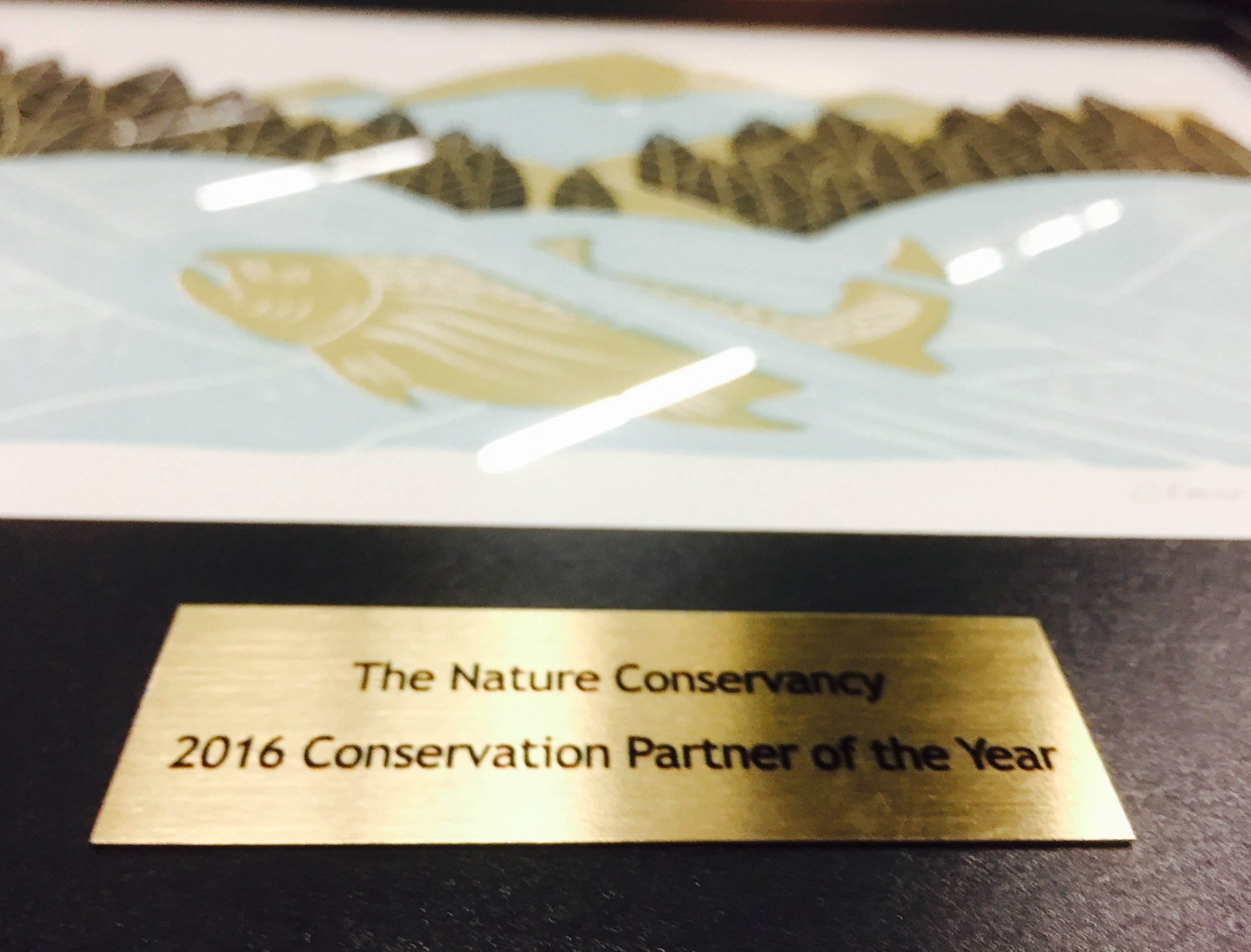  The Nature Conservancy's "Partner of the Year" award 