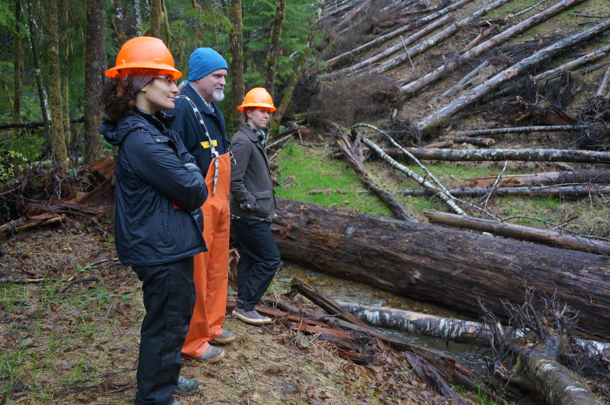  Randi Shaw (TNC-Washington stewardship manager), Bernard Borman (University of Washington Olympic Natural Resources Center) and Valerie Grant (Oregon State University) looking at a newly decommissioned road.    