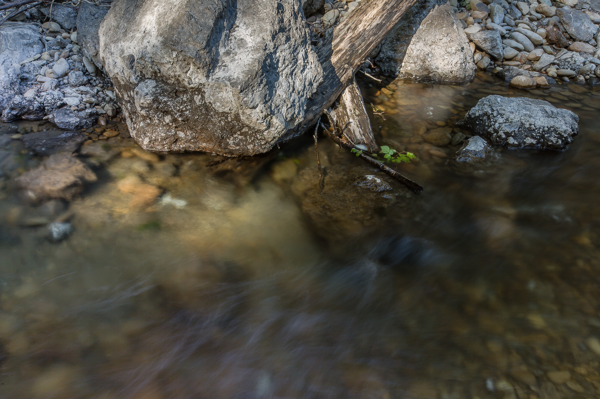 A Gift in Legacy Has Transformed Washington and the World