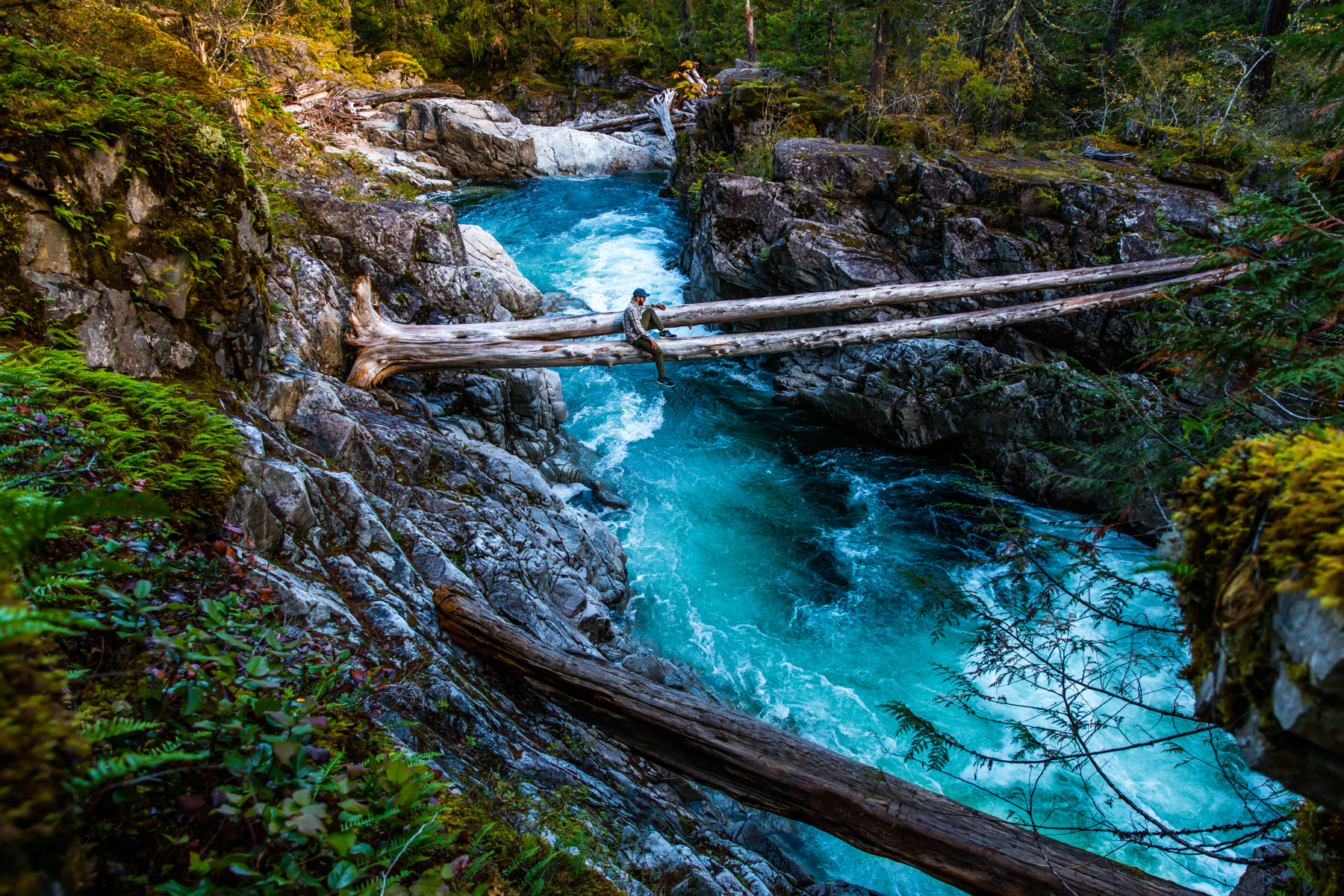 February: Exploring an Emerald Edge