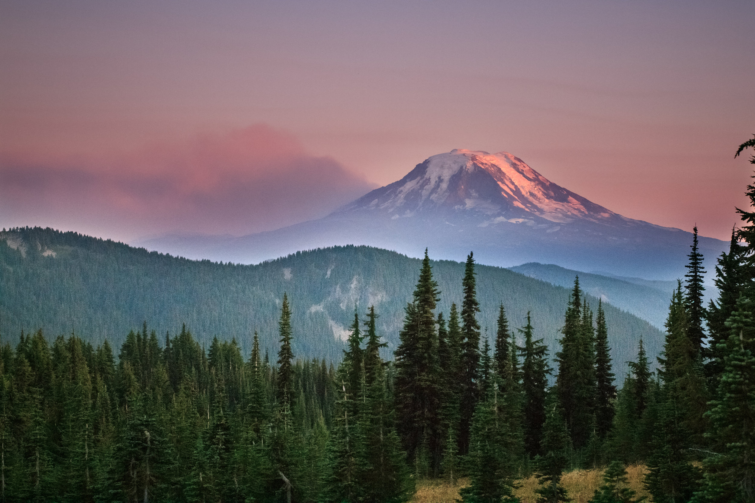 July: Land of Free Beauty