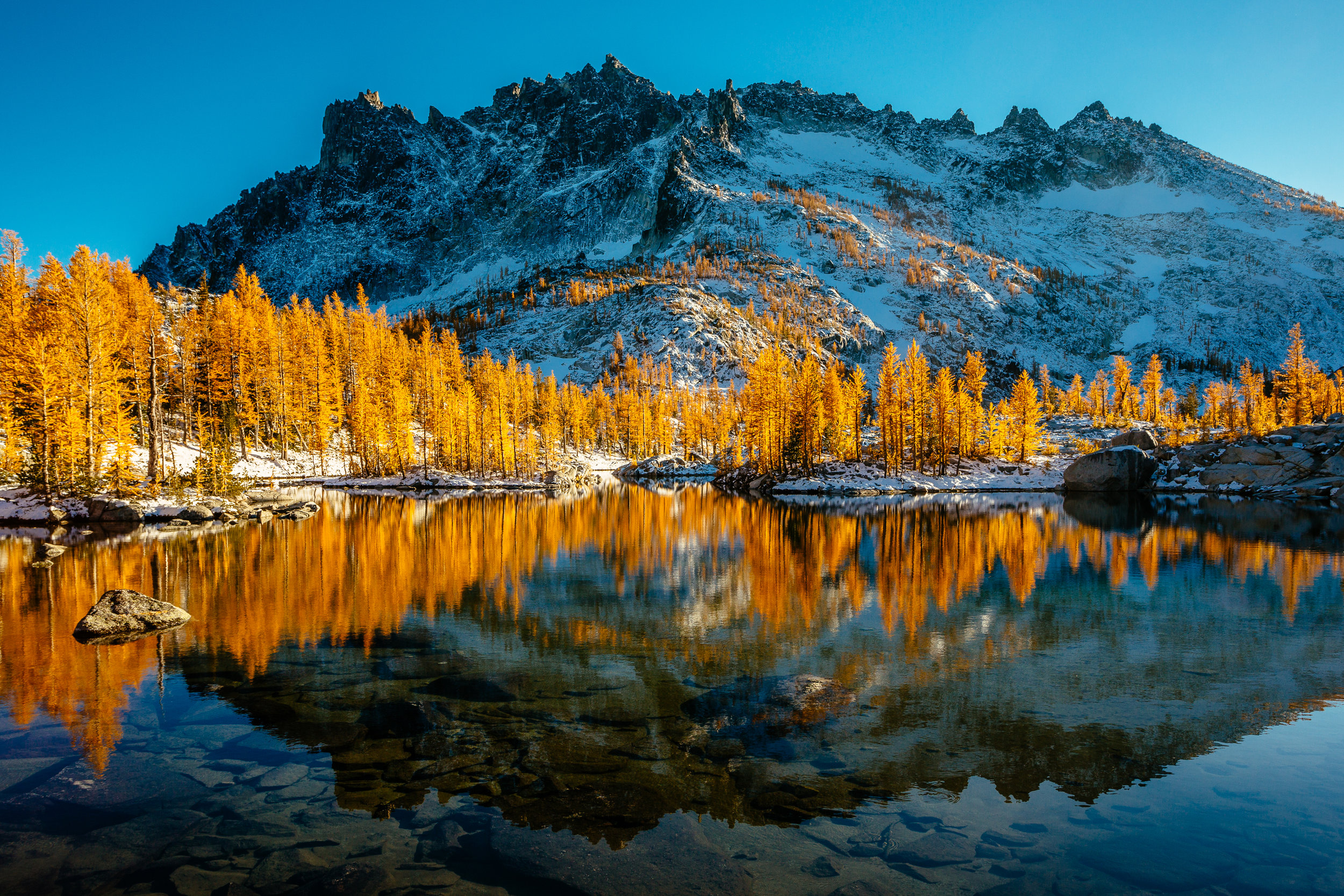 December: Reflection on Golden Larches and Enchanted Places