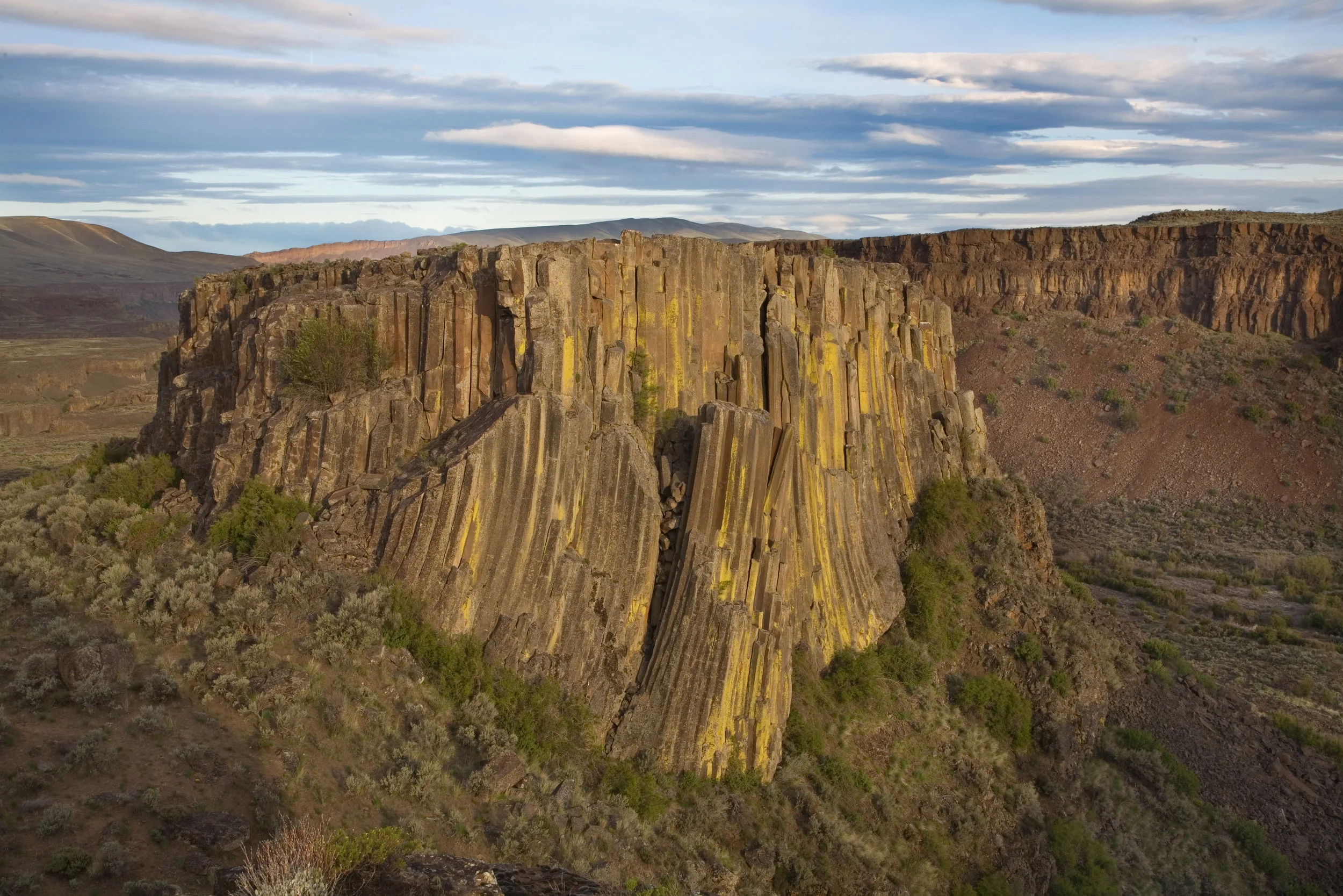 Basalt columns in Moses Coulee. Photo by John Marshall.