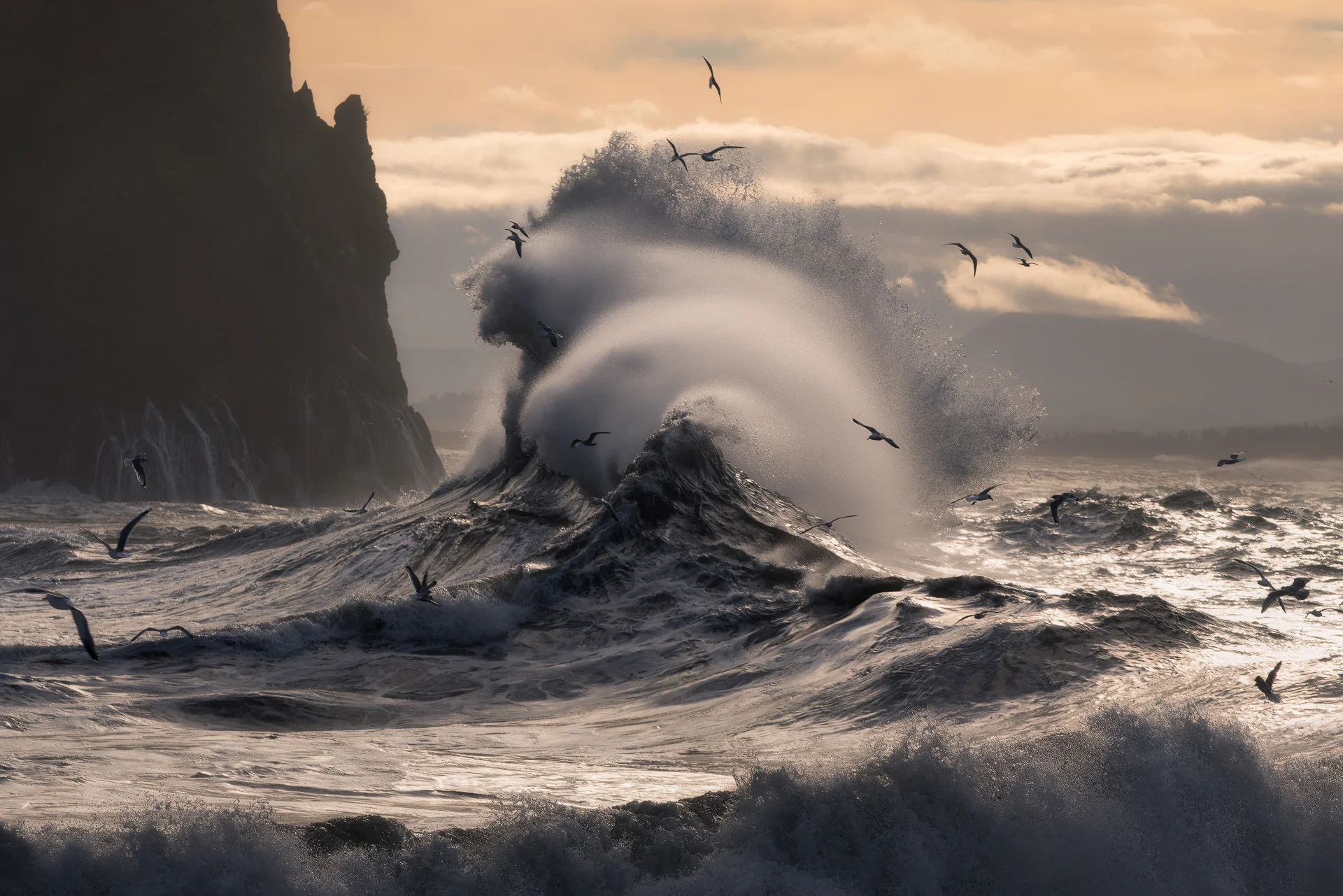 March Photo of the Month: The Sea Goddess Emerges
