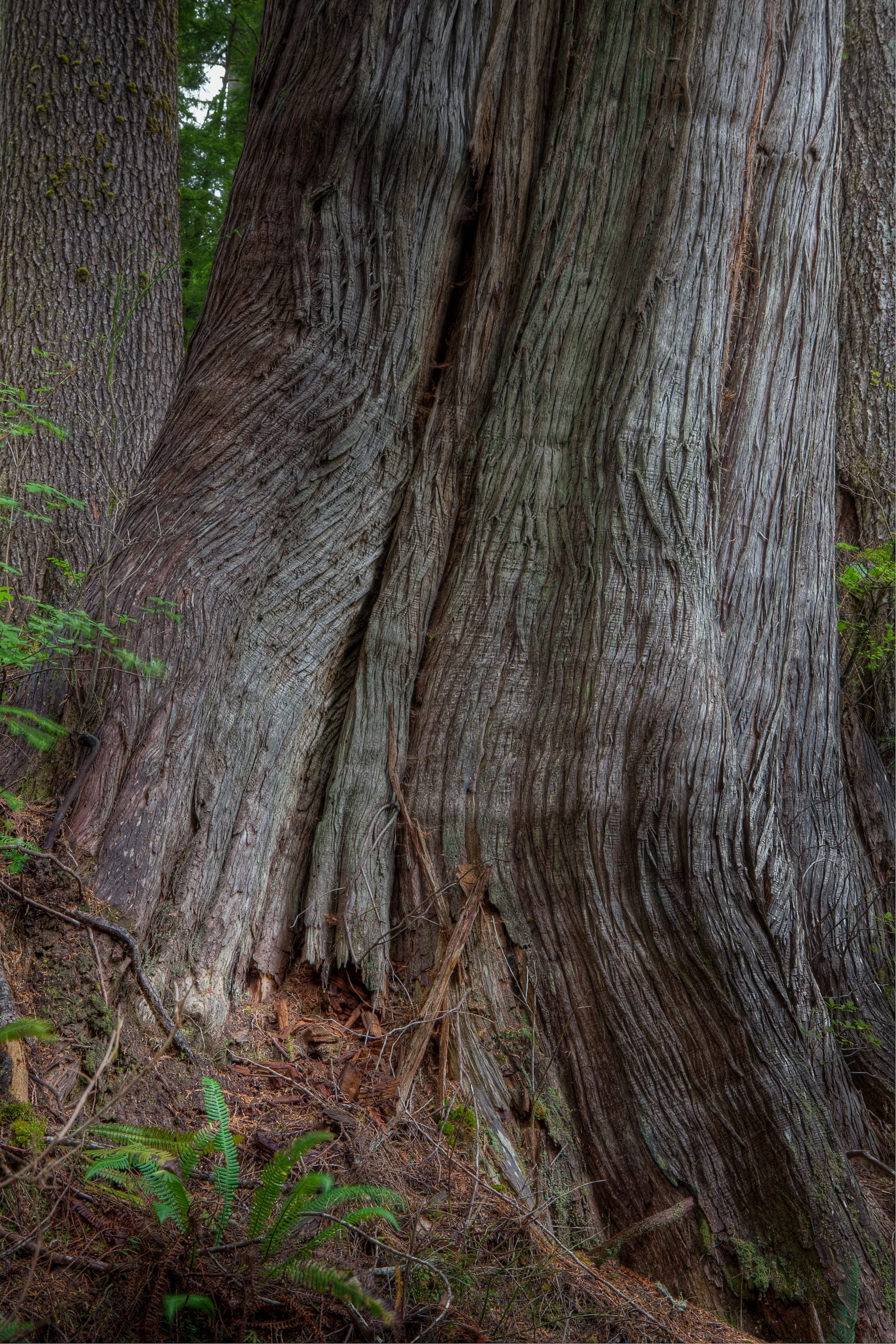 Photo by Douglas King.