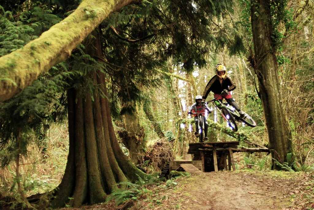 capitol forest mtb trails