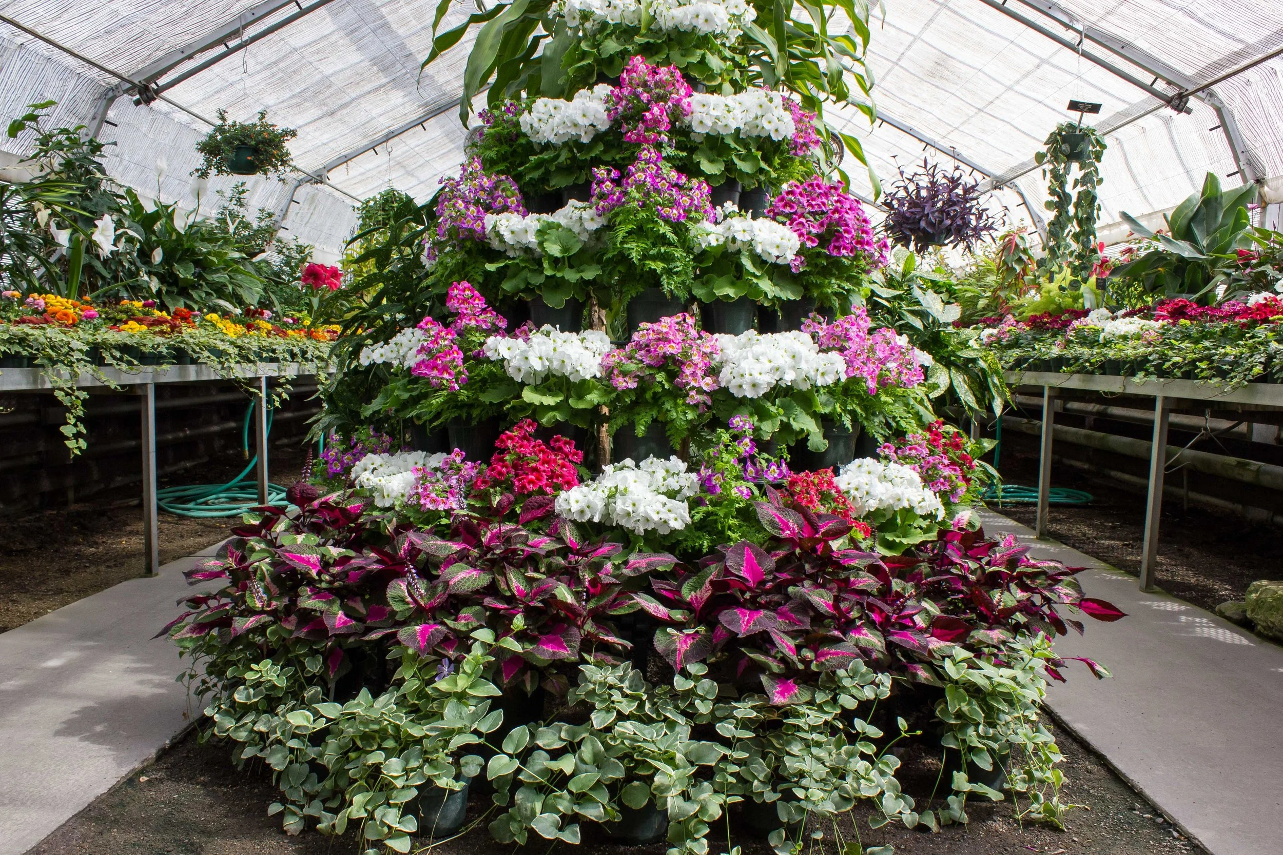 Spokane's Manito Park Near Nature, Near Perfect — The Nature