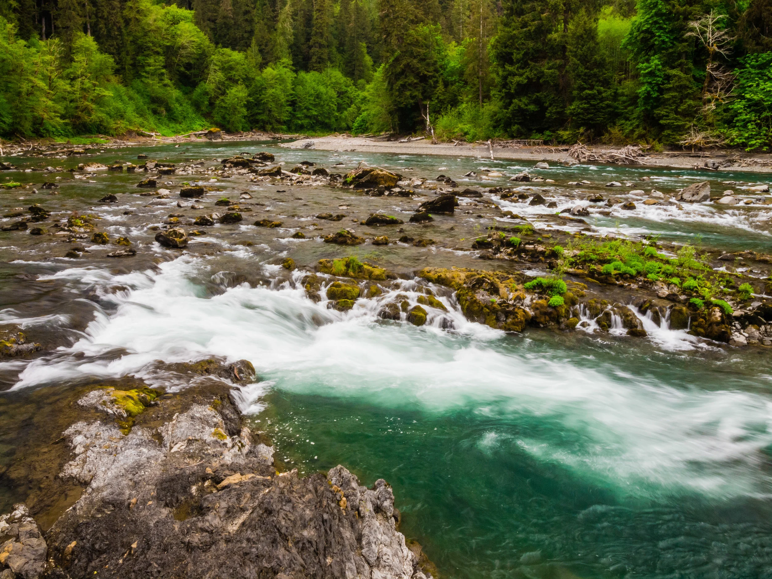 Hope on the Hoh: 10,000 Acres for Recreation and Conservation