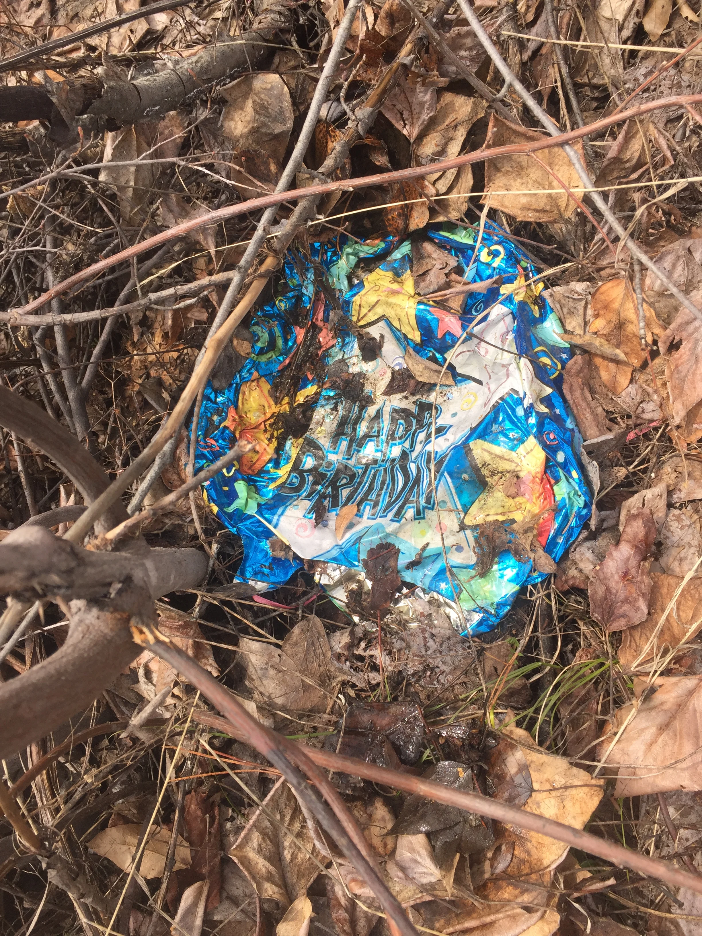 Where Balloons Go to Die