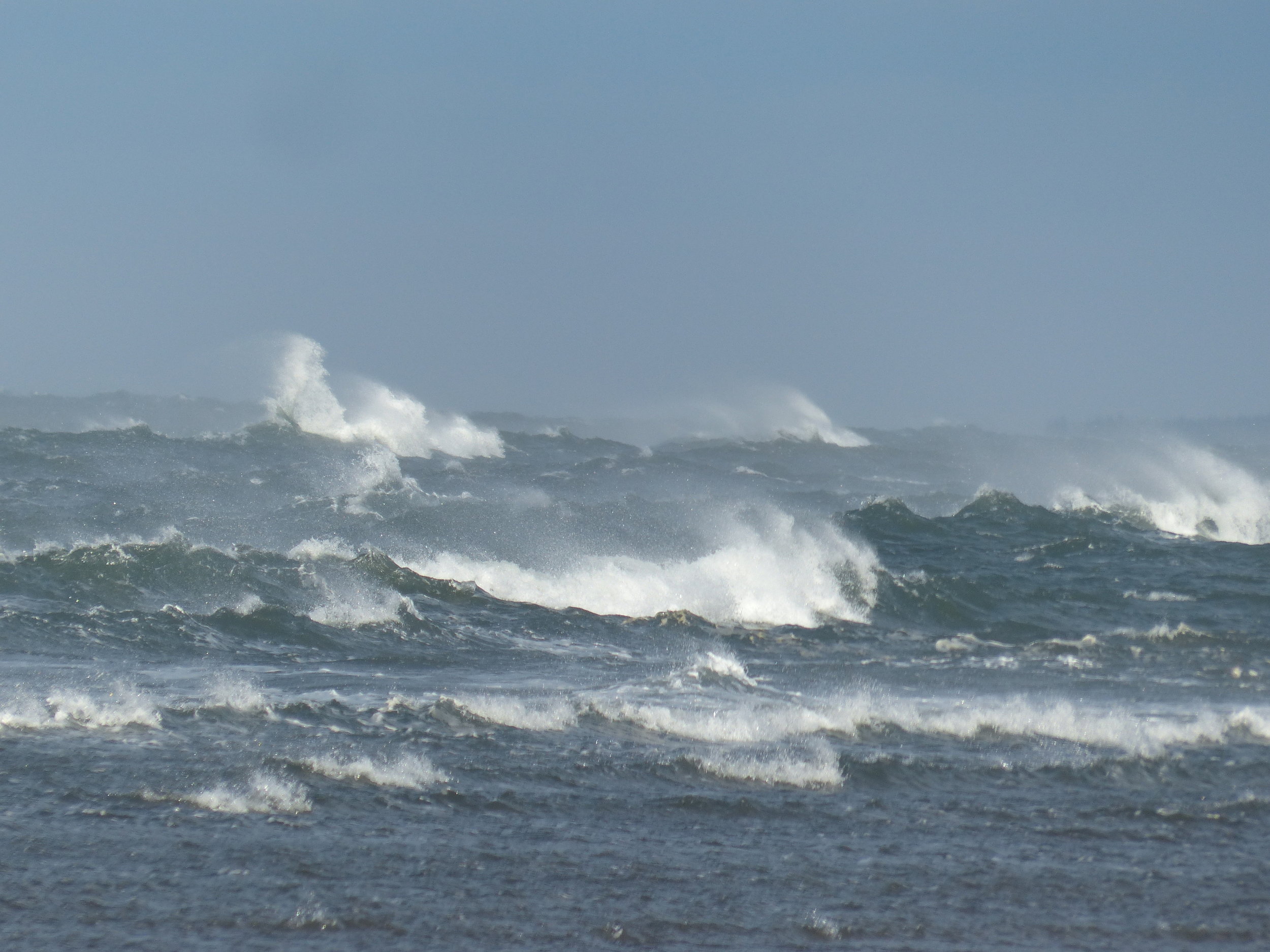 Celebrating Washington's Seascapes: What Lies Beneath?