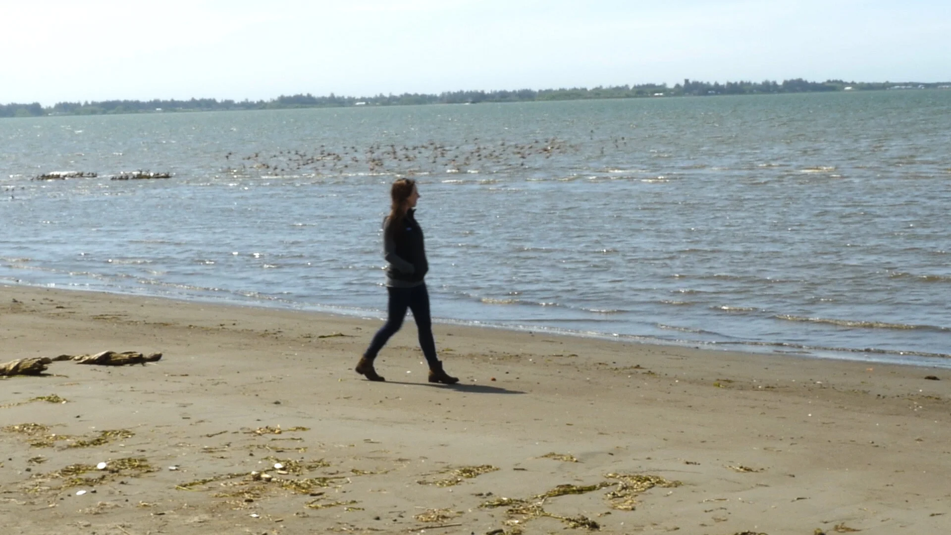 Watch: How to Adapt Coasts to Climate Change