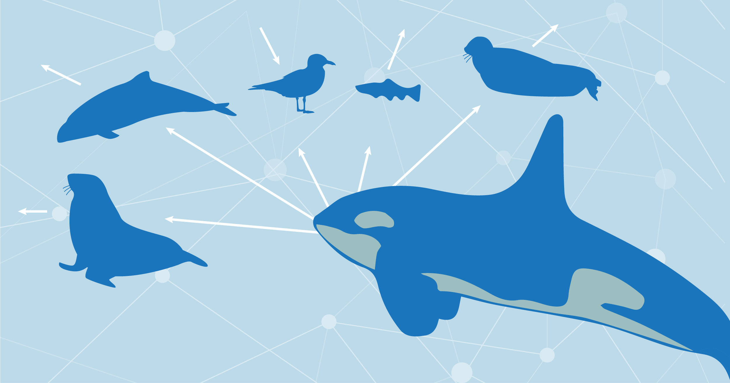 Climate change has a ripple effect for sea life