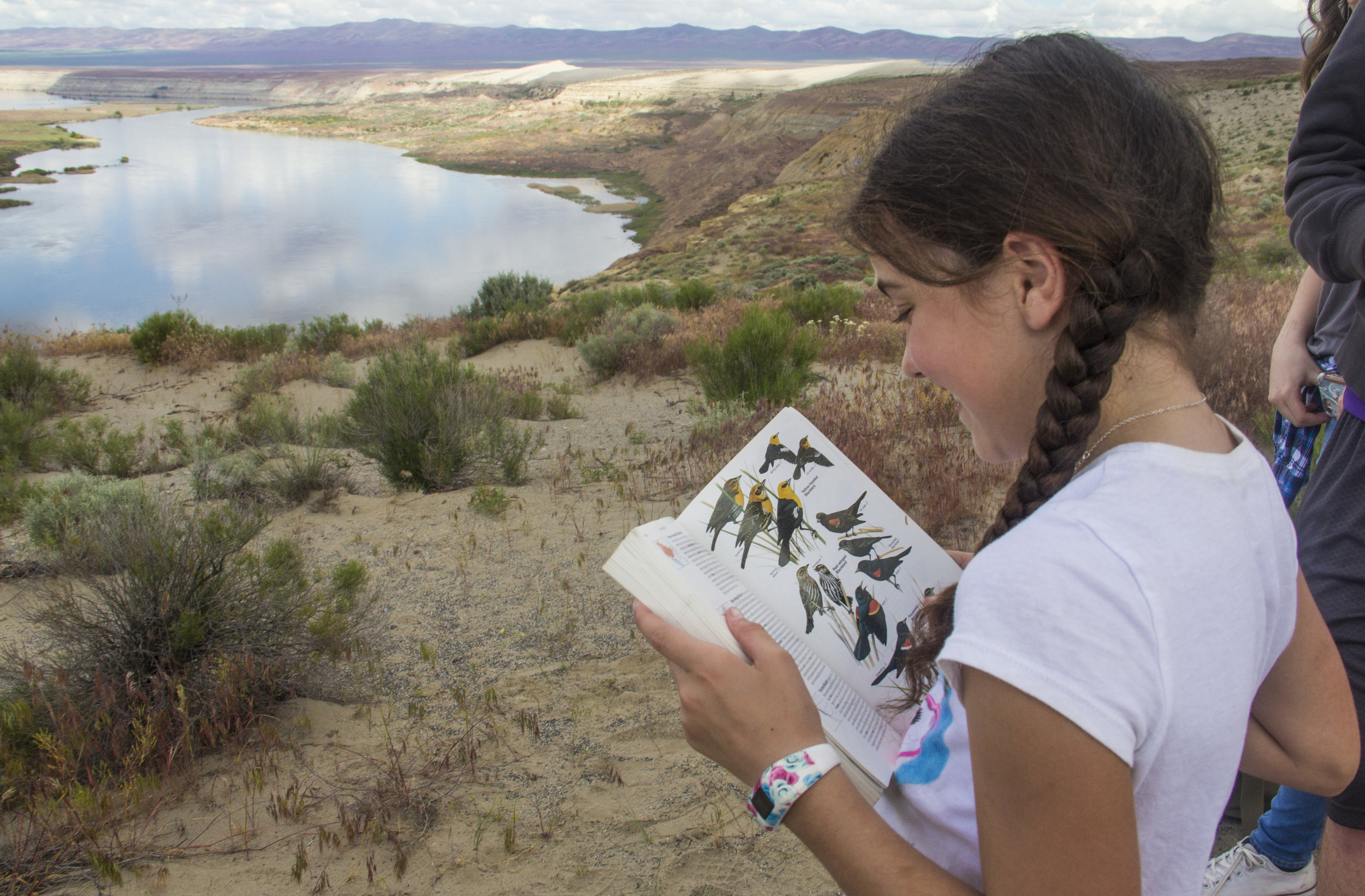  Young visitors to the Hanford Reach learn about the birds that make the Hanford Reach National Monument their home. Photo by Joel Rogers. 