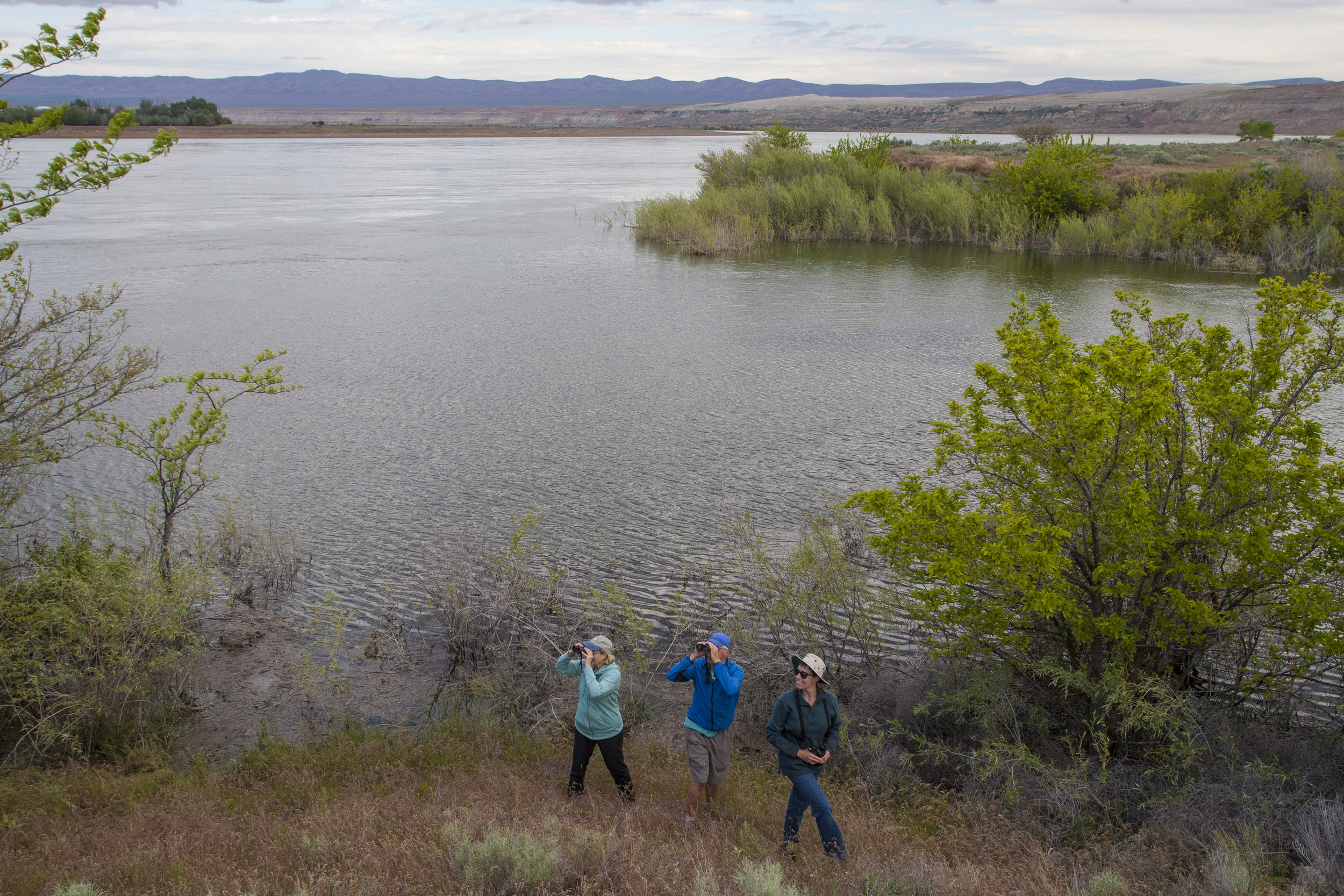  What's that you see? Probably one of the 200-plus species of birds found at Hanford Reach National Monument. Photo by Joel Rogers. 