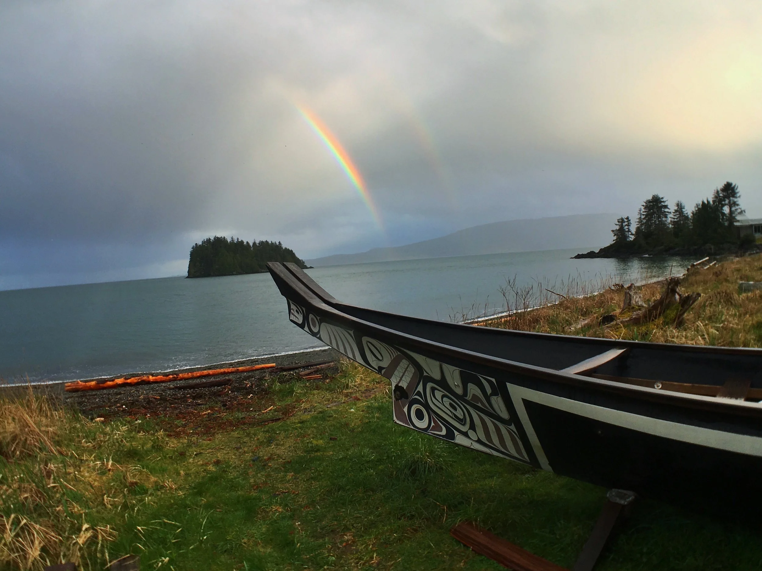 Live Expert Panel: Conservation for the Anthropocene Ocean