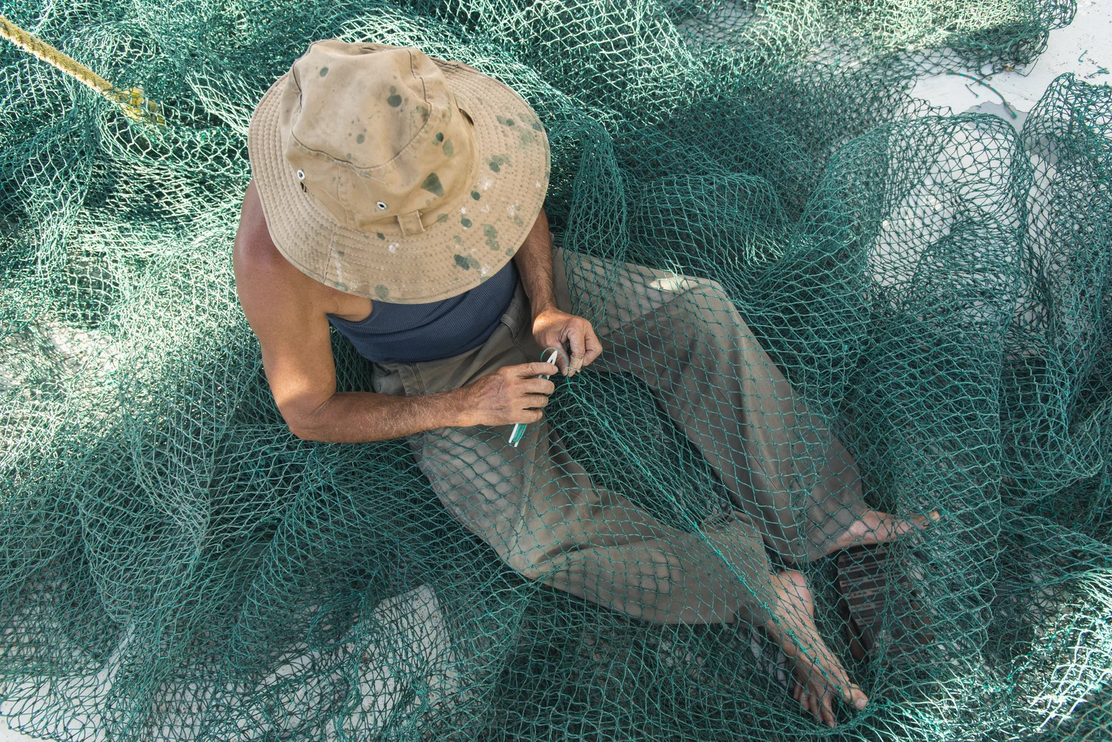 Do You Know Who Peeled Your Shrimp? Why Social Sustainability Matters