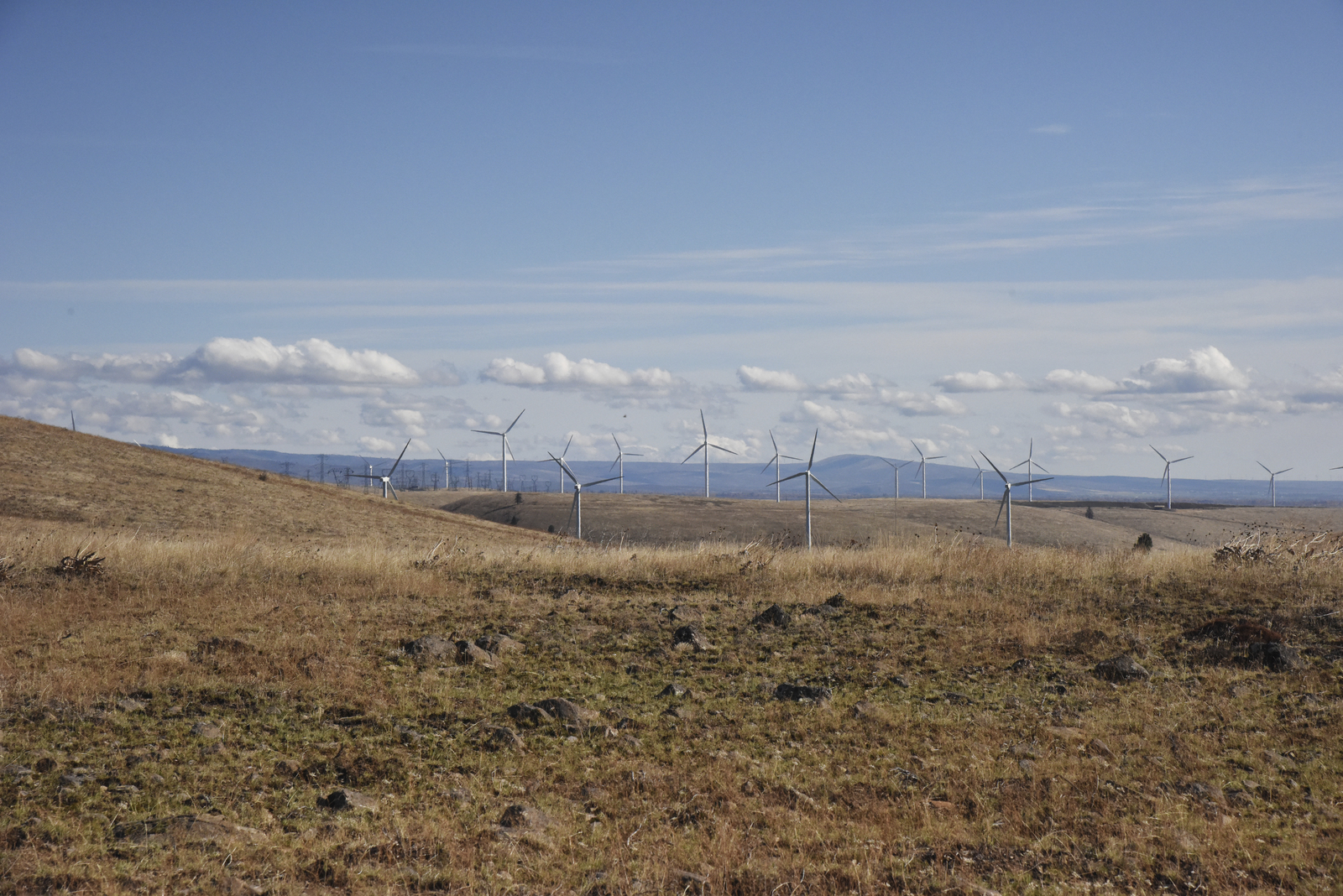View of an Eastern Washington wind farm from Swauk Creek Ranch. Photo by Anna Snook.