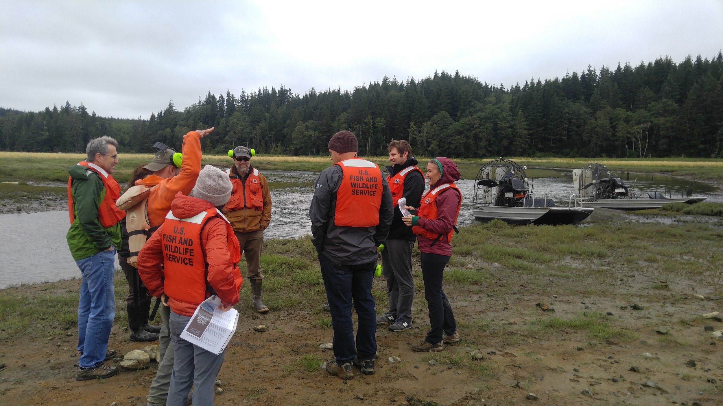 Dave Ryan talks about how high the Spartina plants were when restoration crews began the huge task of removing this invasive plant. Native grasses have been quick to recolonize the mud flats. Photo © Jessica Helsley