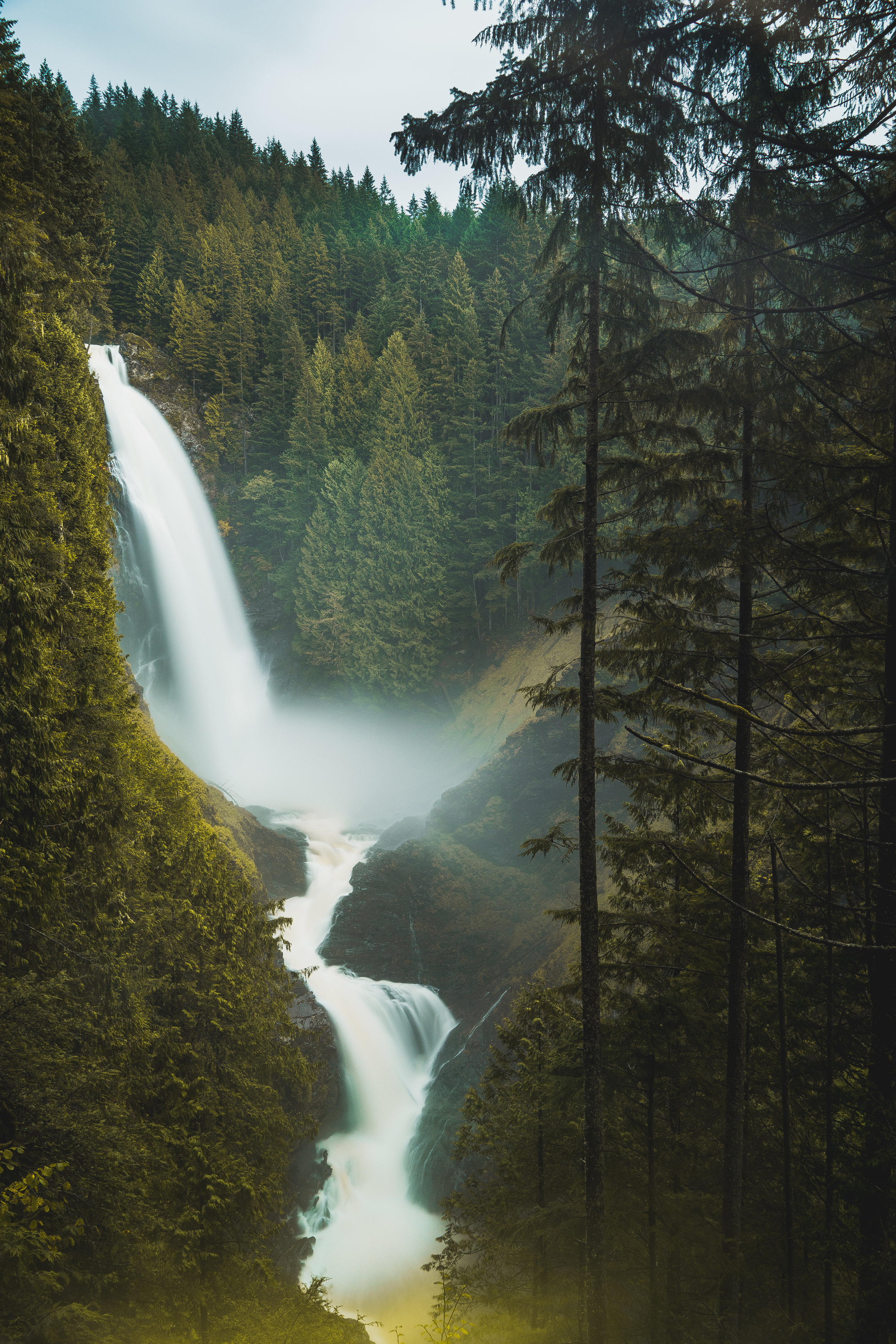 September Photo of the Month: Young Interest in Photography Cascades Through Life