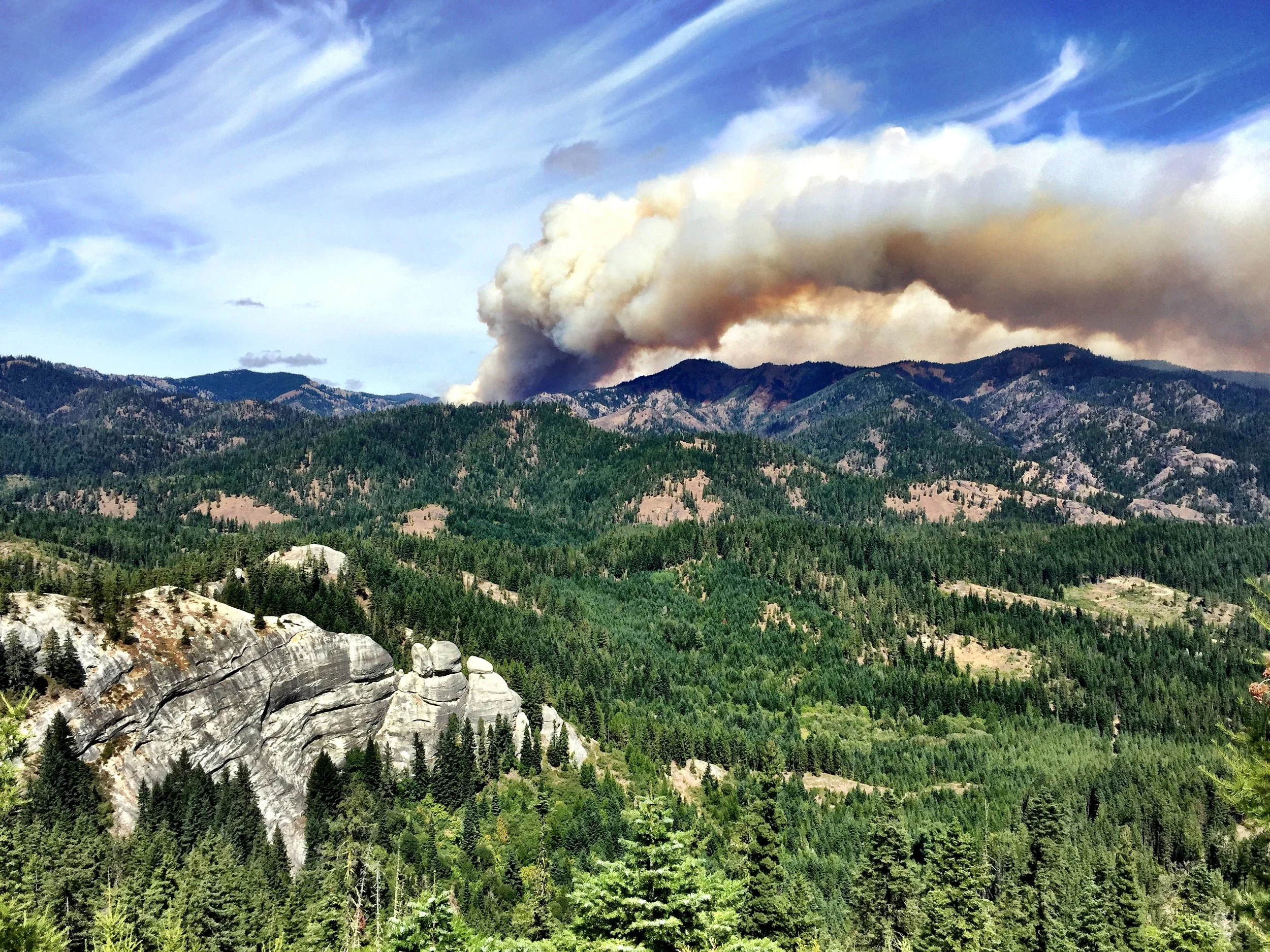 The Jolly Mountain Fire in Kittitas County. Ptoto © TNC