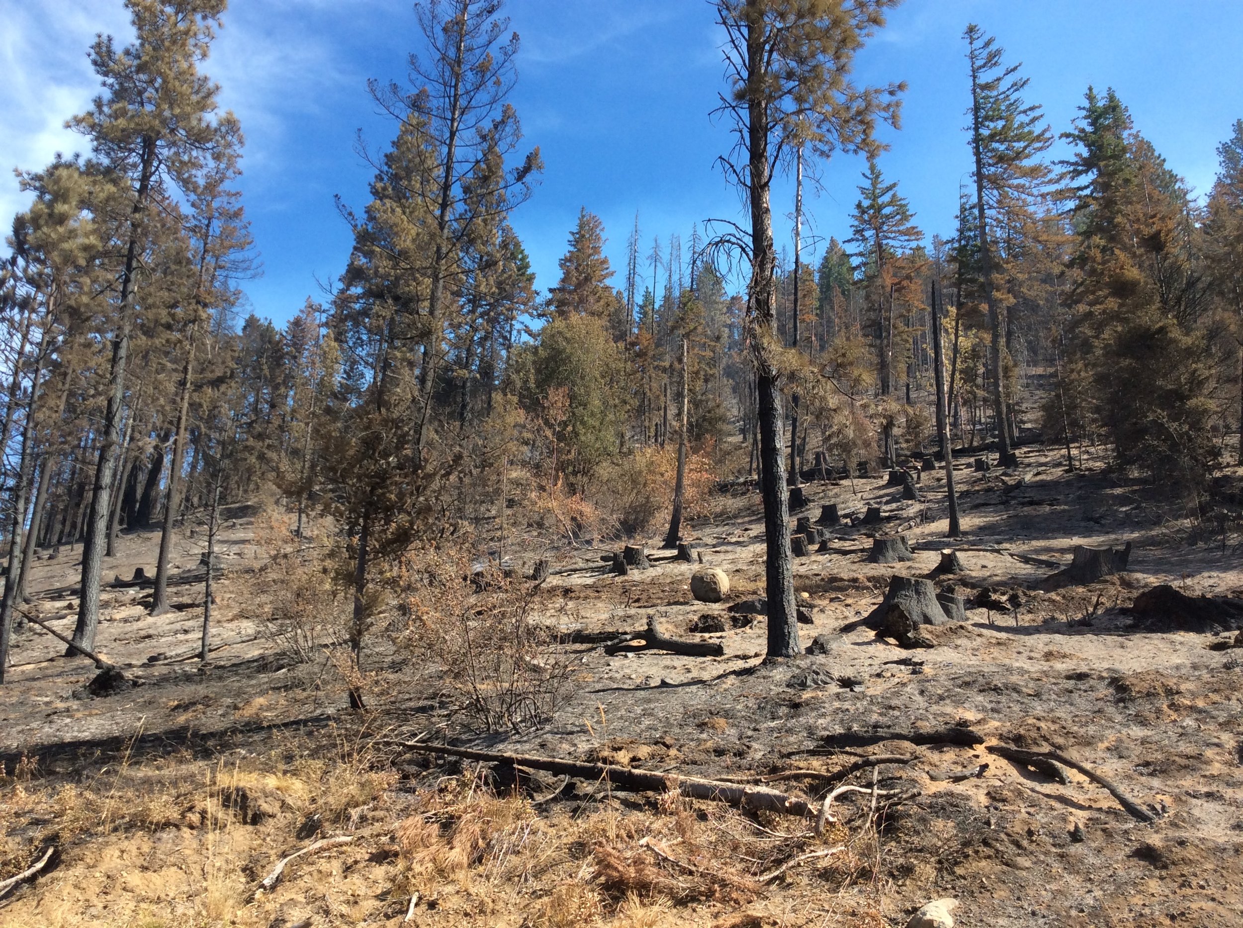 After the fire: Assessing burned lands