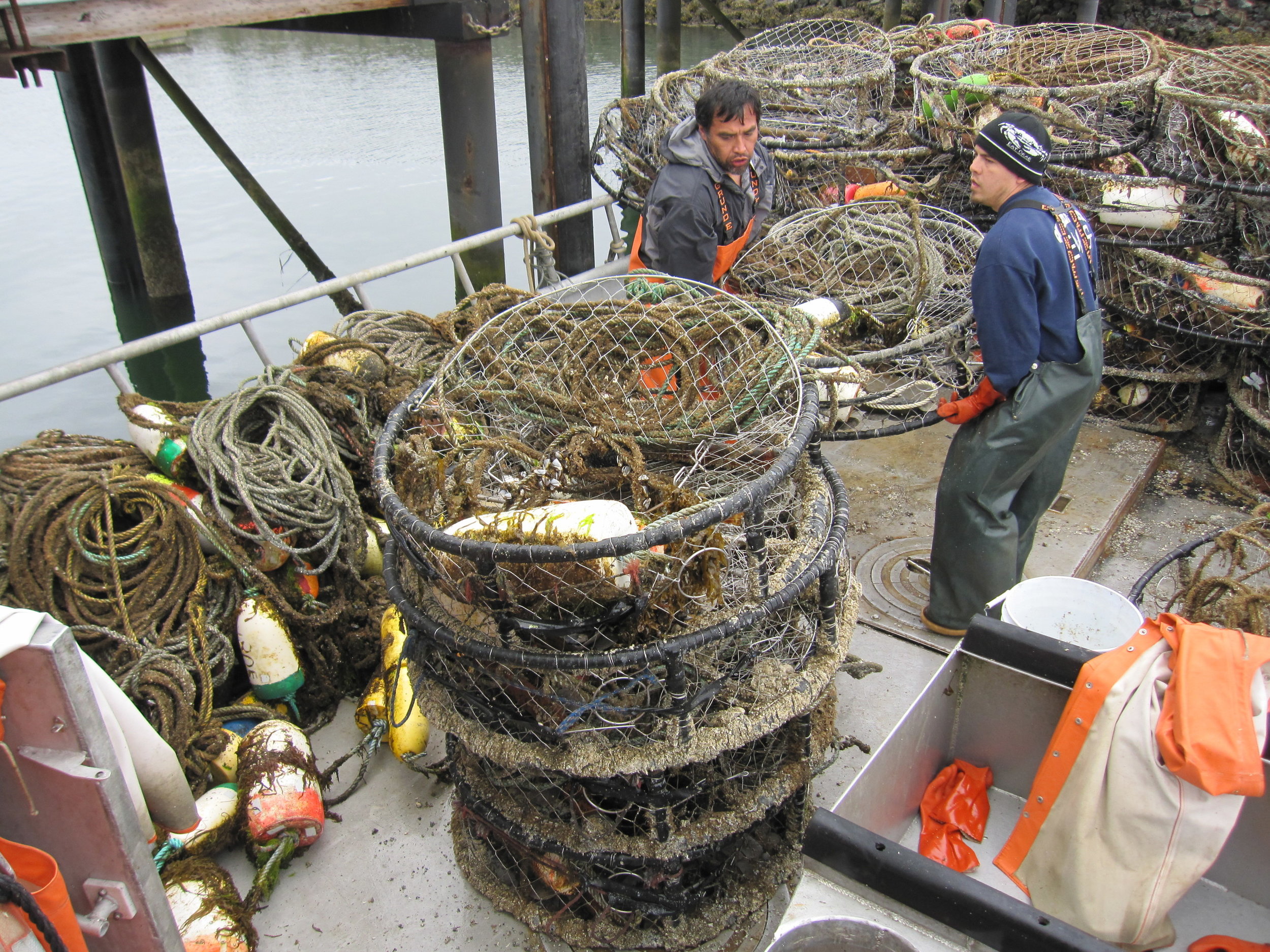 The Crab Pots that Got Away — The Nature Conservancy in Washington