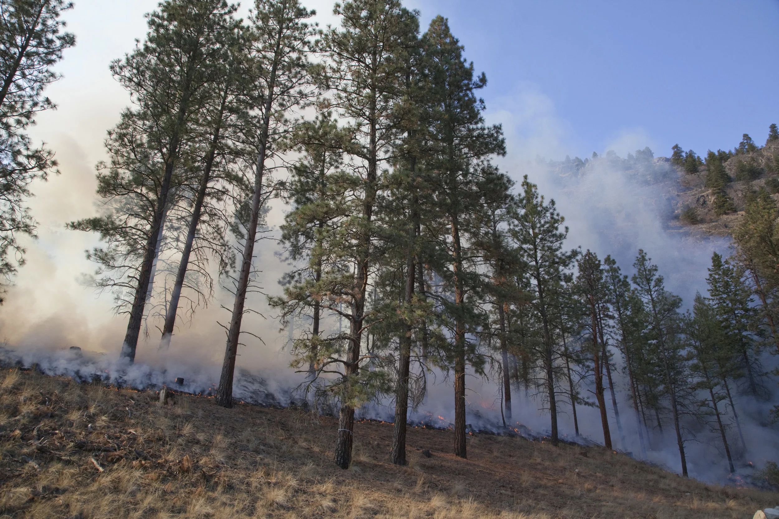 New Training to Expand 'Good Fire' Use Across State, Protect Communities​​​​​​​