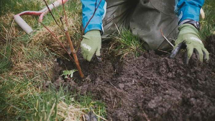 Virtual: Volunteer Info Session