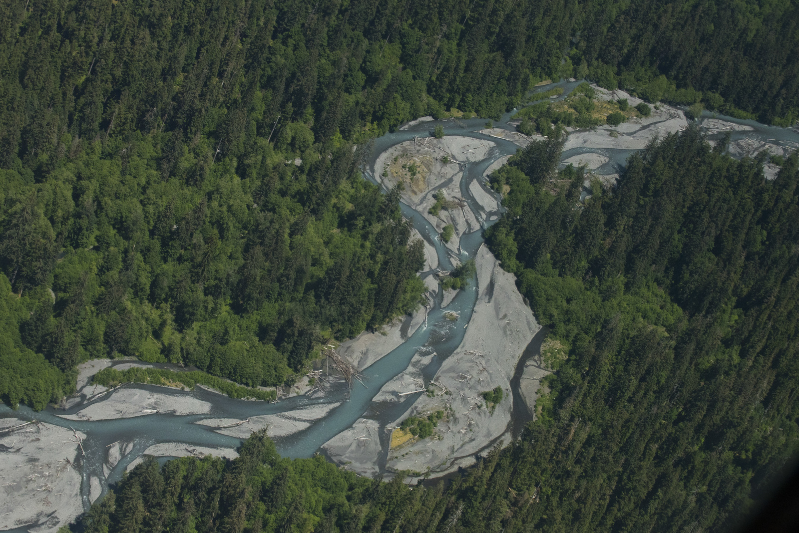  The Hoh River. Photo by Hannah Letinich/LightHawk. 