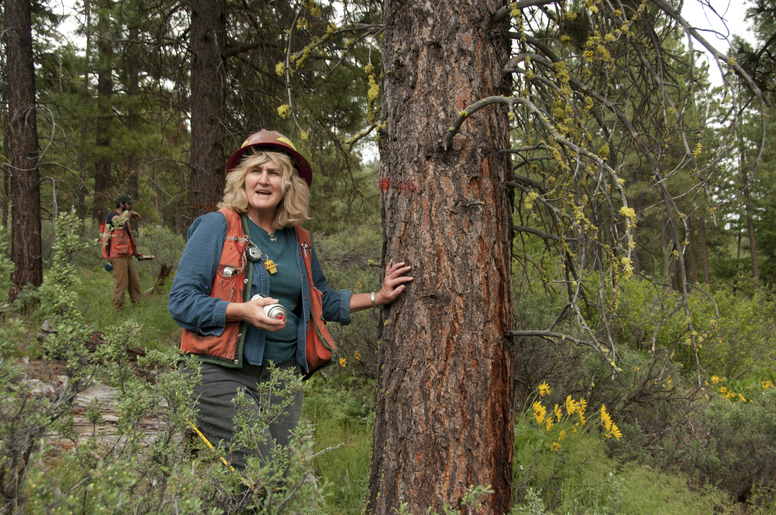  Forestry workshop near Cle Elum, WA. Photo by Hannah Letinich. 