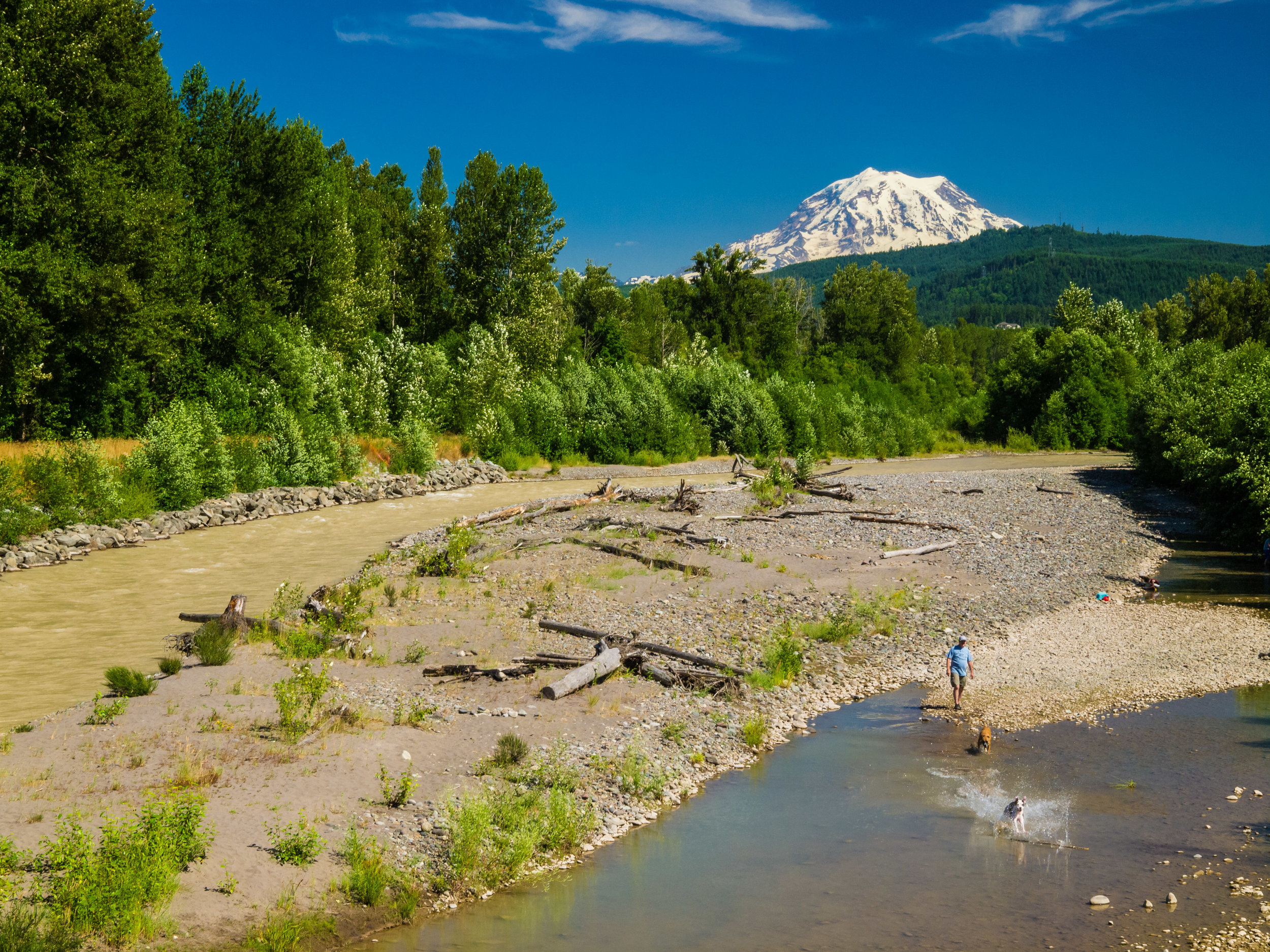 Details on the Ballot Initiative for a Cleaner, Healthier Washington