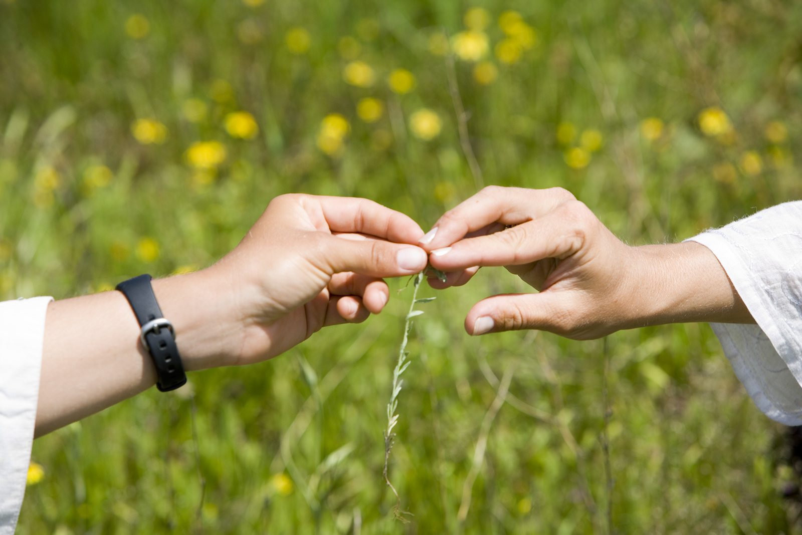 March Volunteer Spotlight: Jessica Wetter 