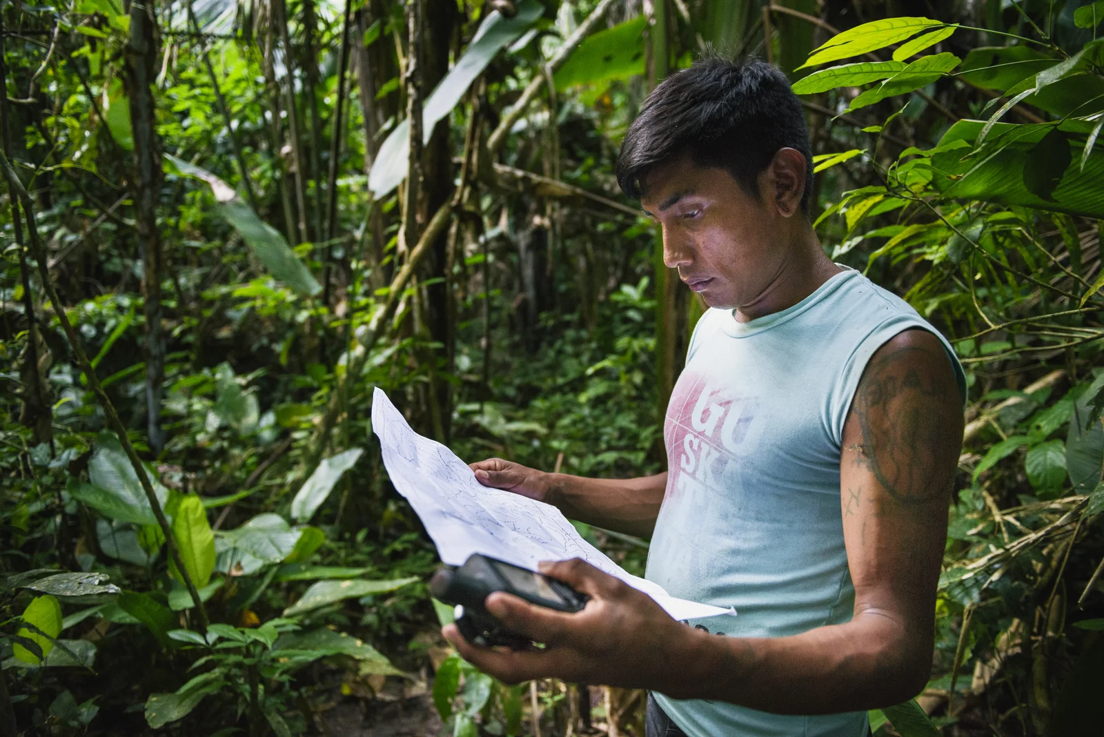 Restoration efforts in a forest near Brazil's Pot-Kro Village. Photo by Kevin Arnold.