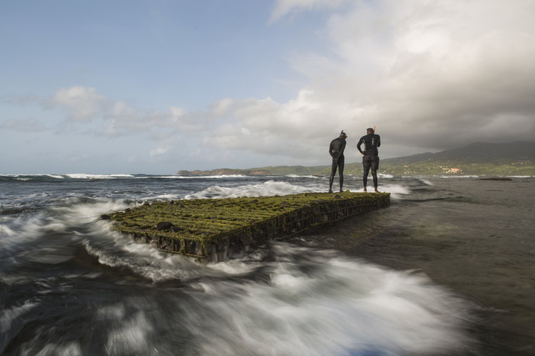 Divers stand atop an artificial reef in Grenville Bay, Grenada. Photo by Tim Calver.