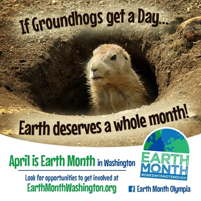 groundhog.jpg