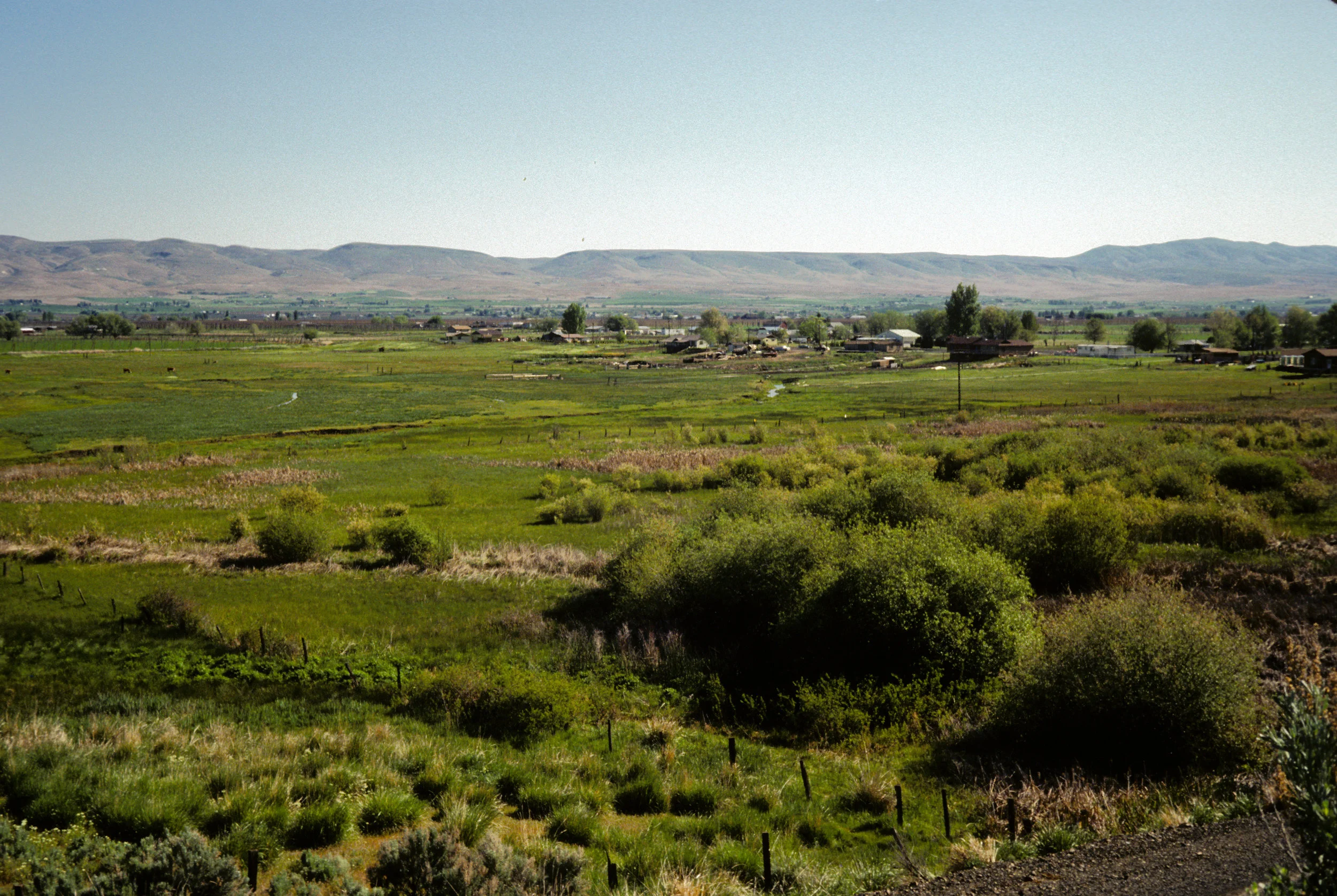 In Moxee, a Butterfly and a Bog Inform Ecosystem Restoration — The