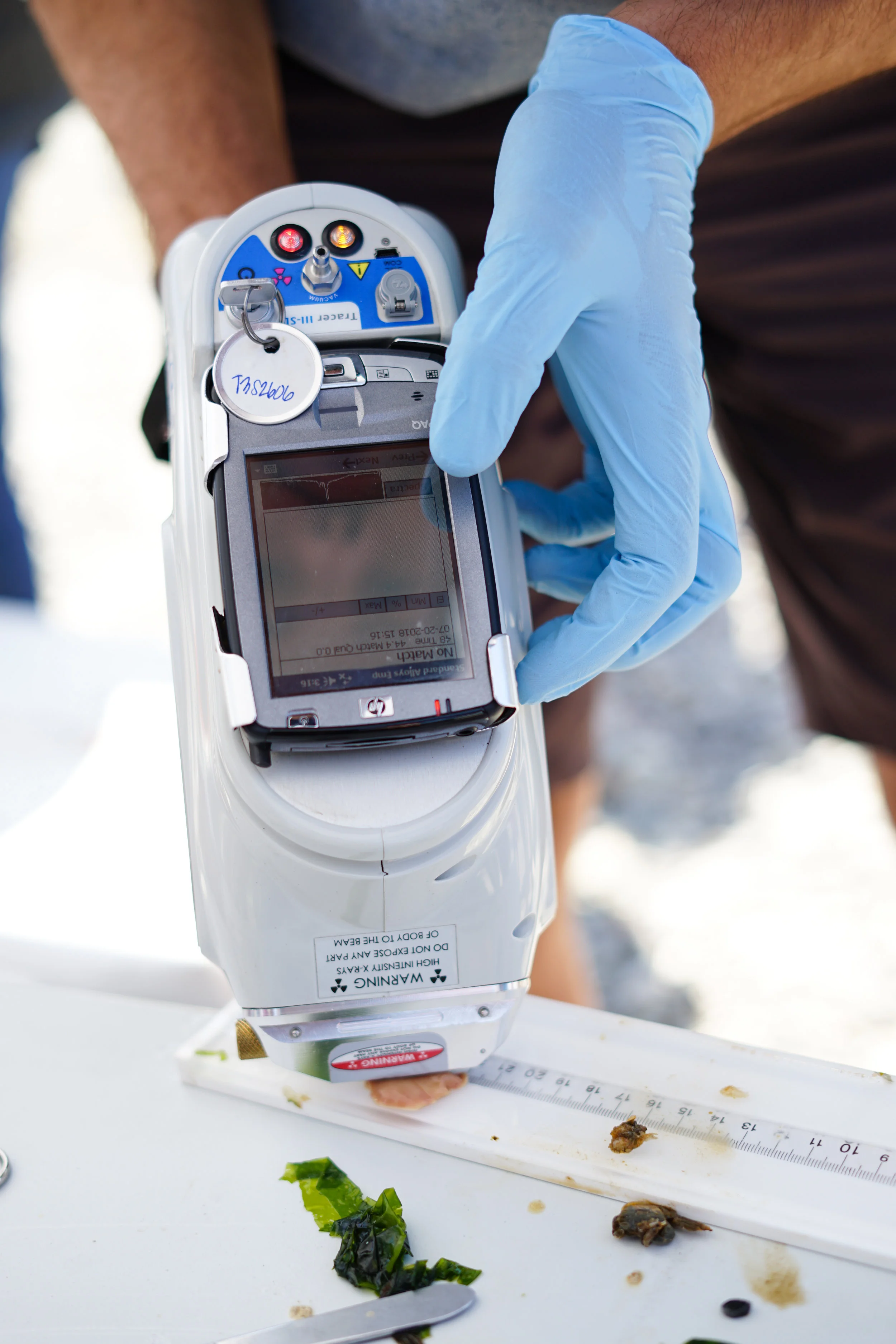 All on Board: Testing Fish Toxicity With Our Trustees