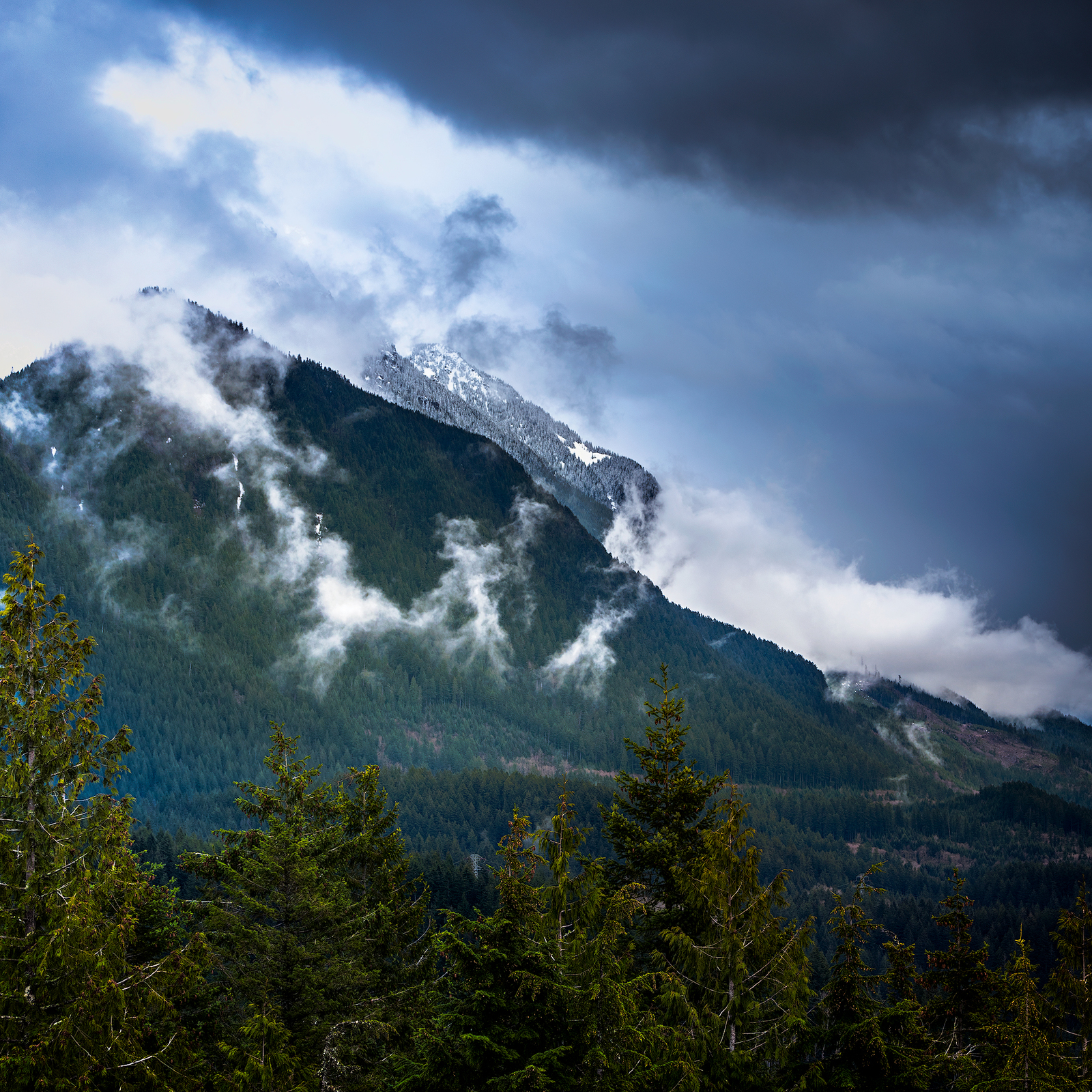 Heybrook Lookout Trail, west of Stevens Pass, is in the Mt. Baker-Snoqualmie National Forest, one of many National Forests protected by LWCF. Photo by Sony Thomas     