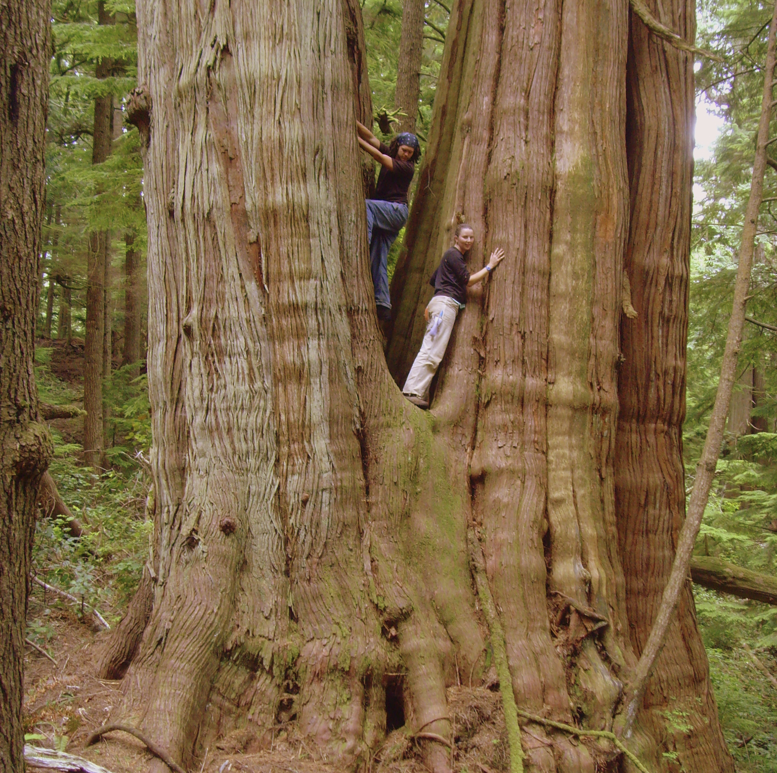 Willapa National Wildlife Refuge in Pacific County is protected by LWCF’s federal grant program and is adjacent to our Ellsworth Creek Preserve. Photo by Yoav Daniel Bar-Ness