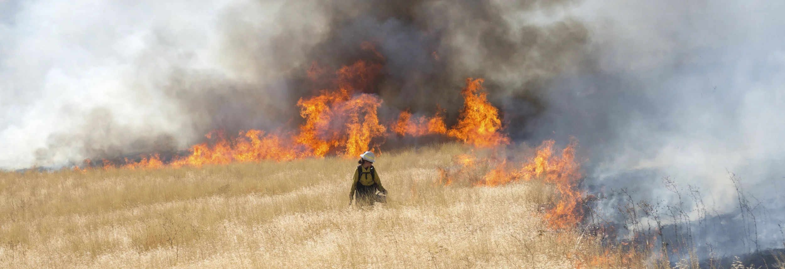 Prescribed-Fire Training Tackles Forest Health, Community Protection