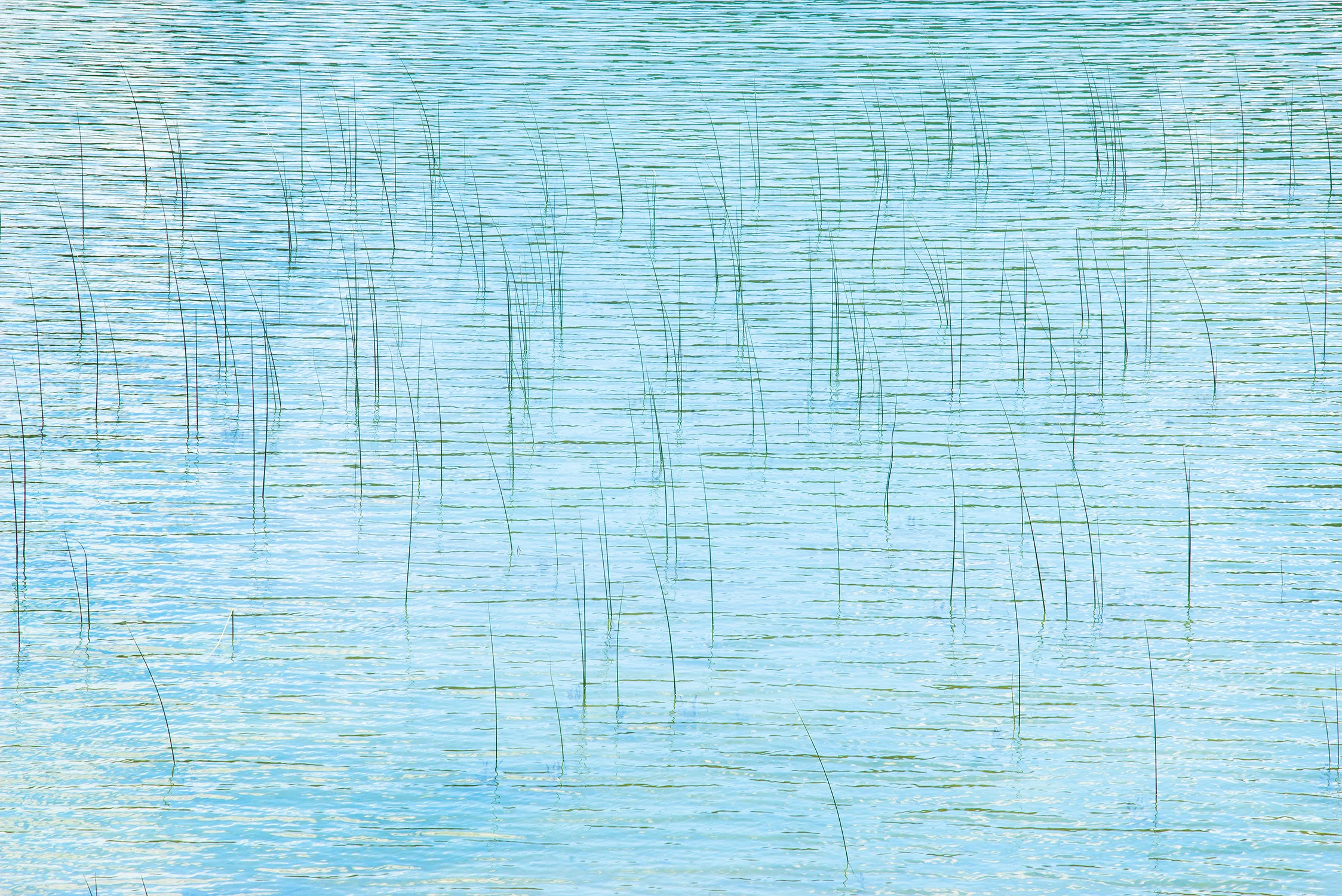 October Photo of the Month: A Visual Symphony