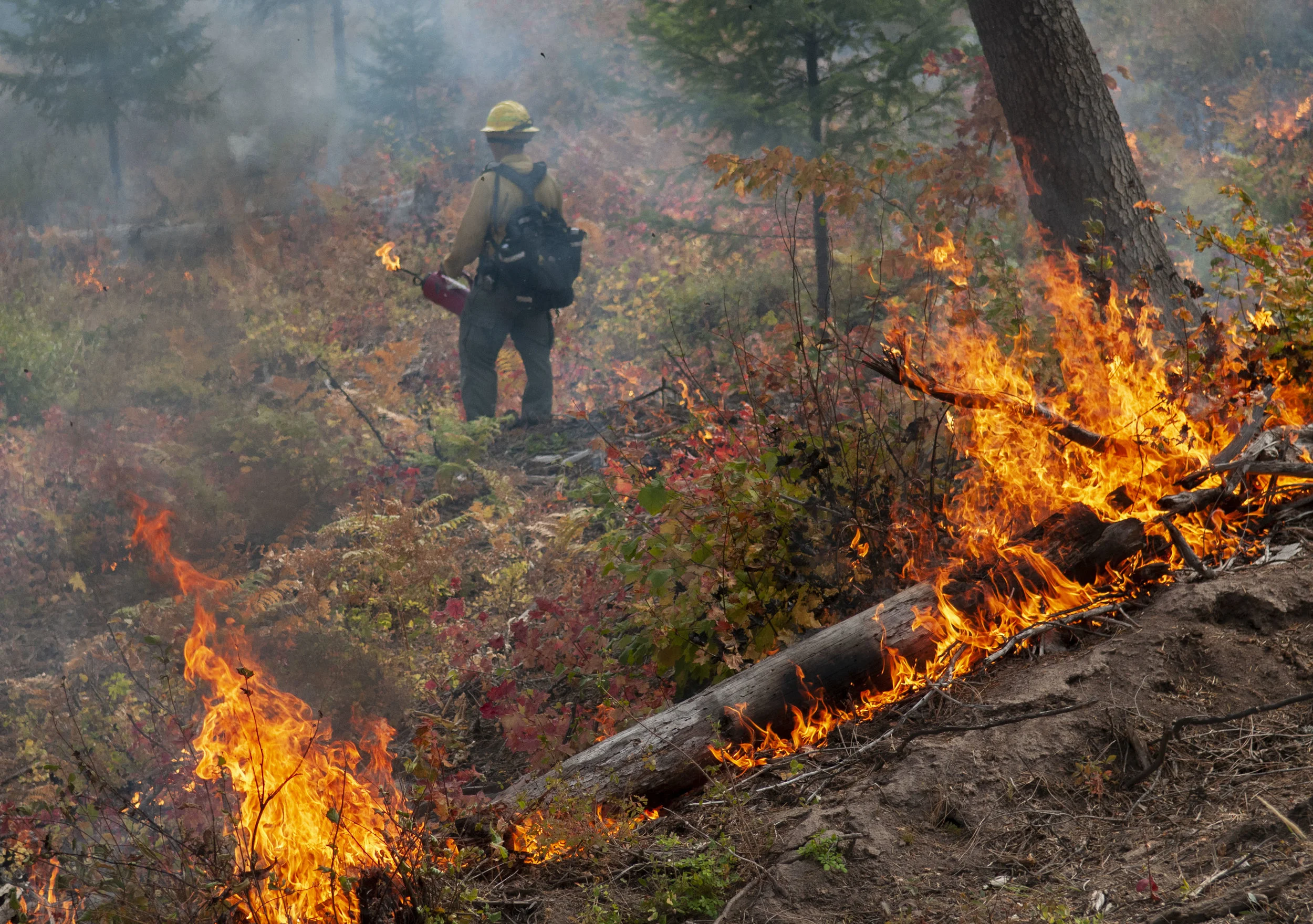 How We're Returning Fire to the Landscape