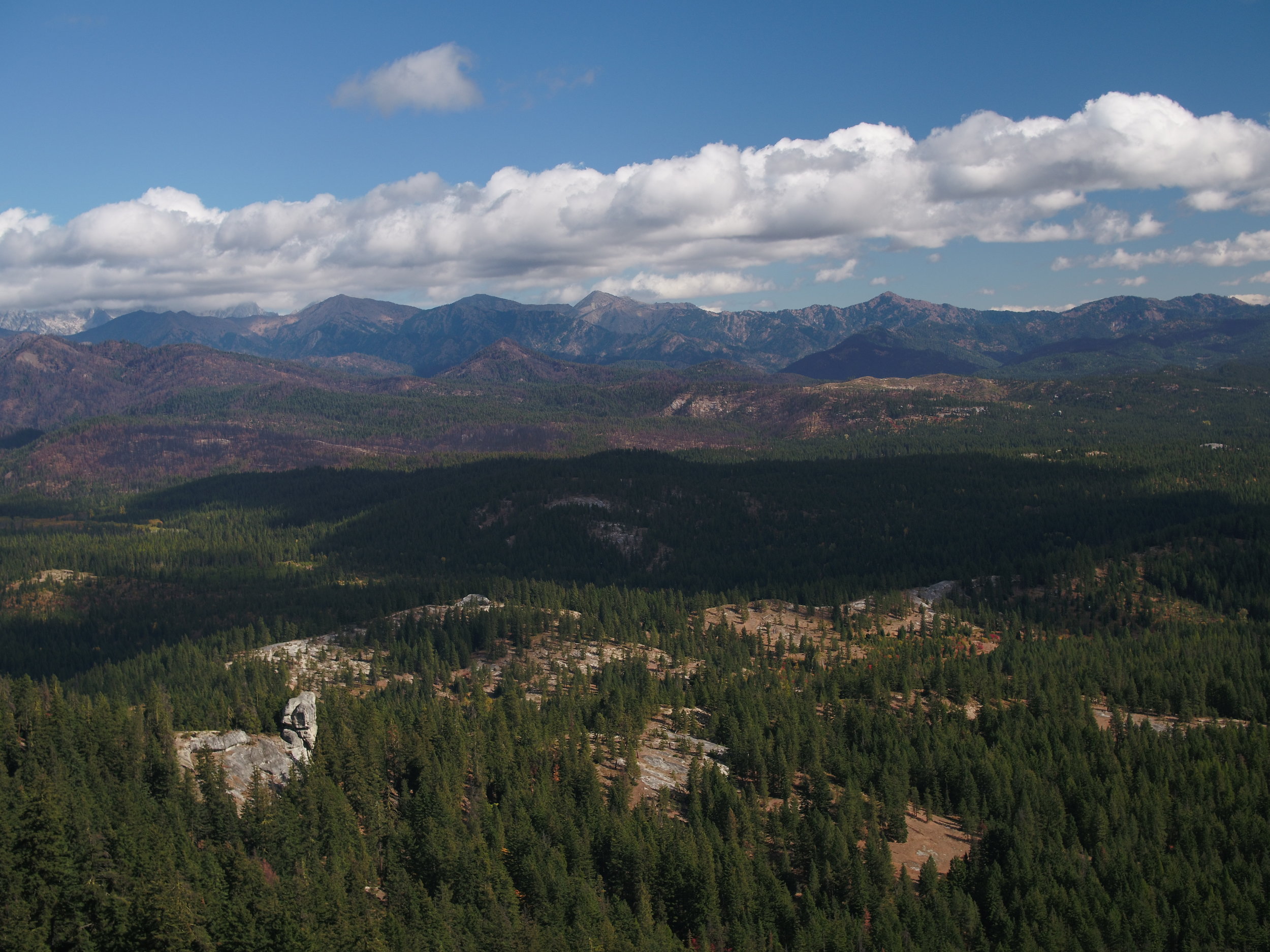 Have Your Say About Recreation in the Teanaway Community Forest