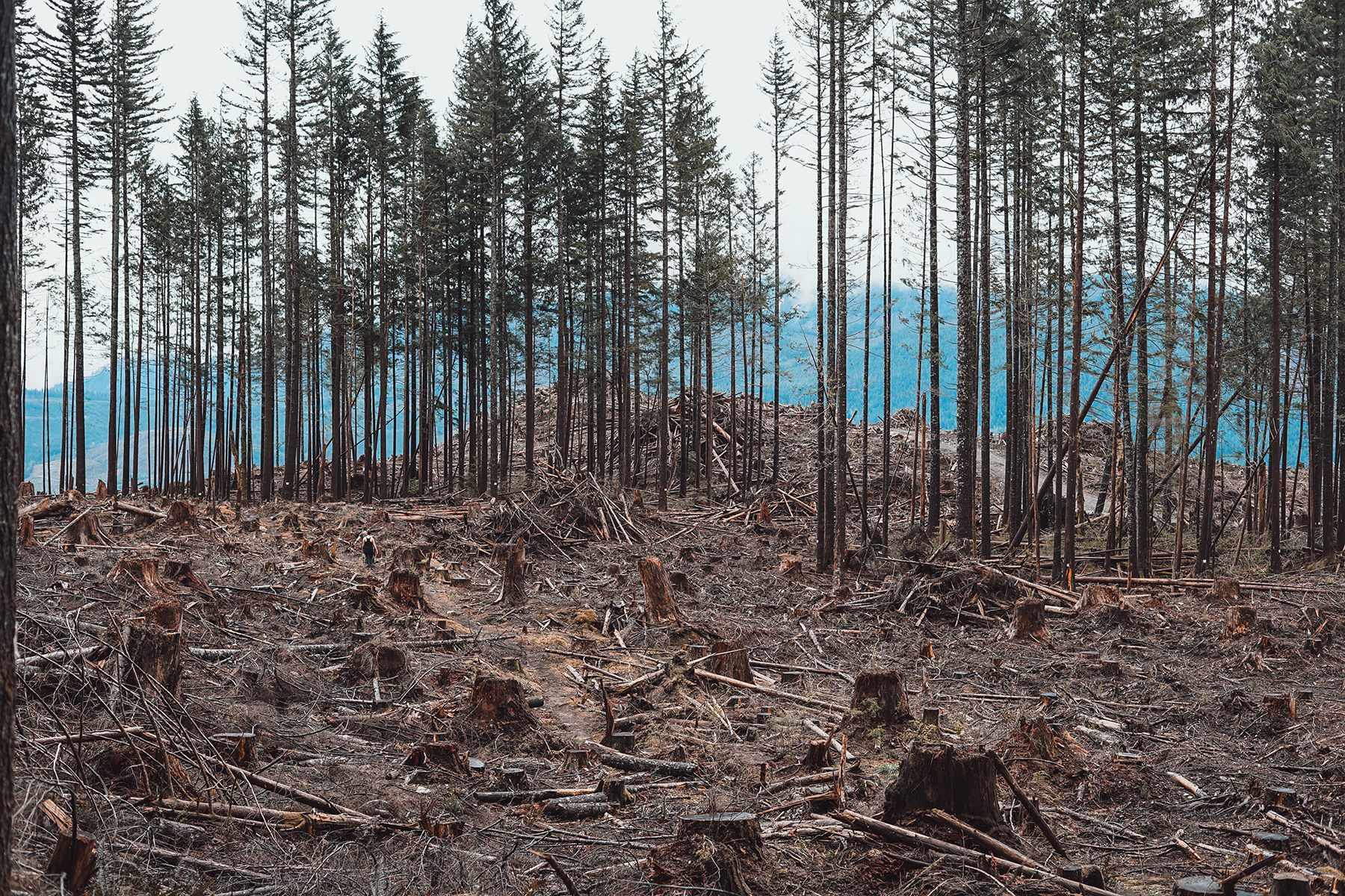 ©&nbsp;Courtney Baxter