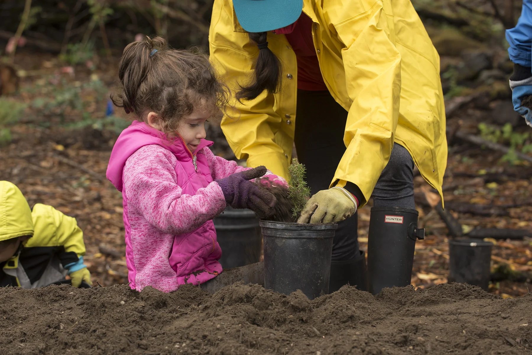 Planting seedlings at North Creek Forest with Whale Scout volunteers in October 2018. © Hannah Letinich