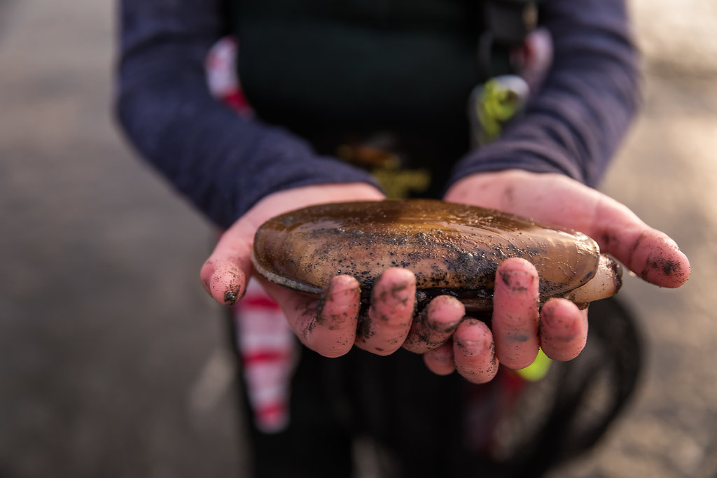 2017_TNC_RazorClamming-665.jpg
