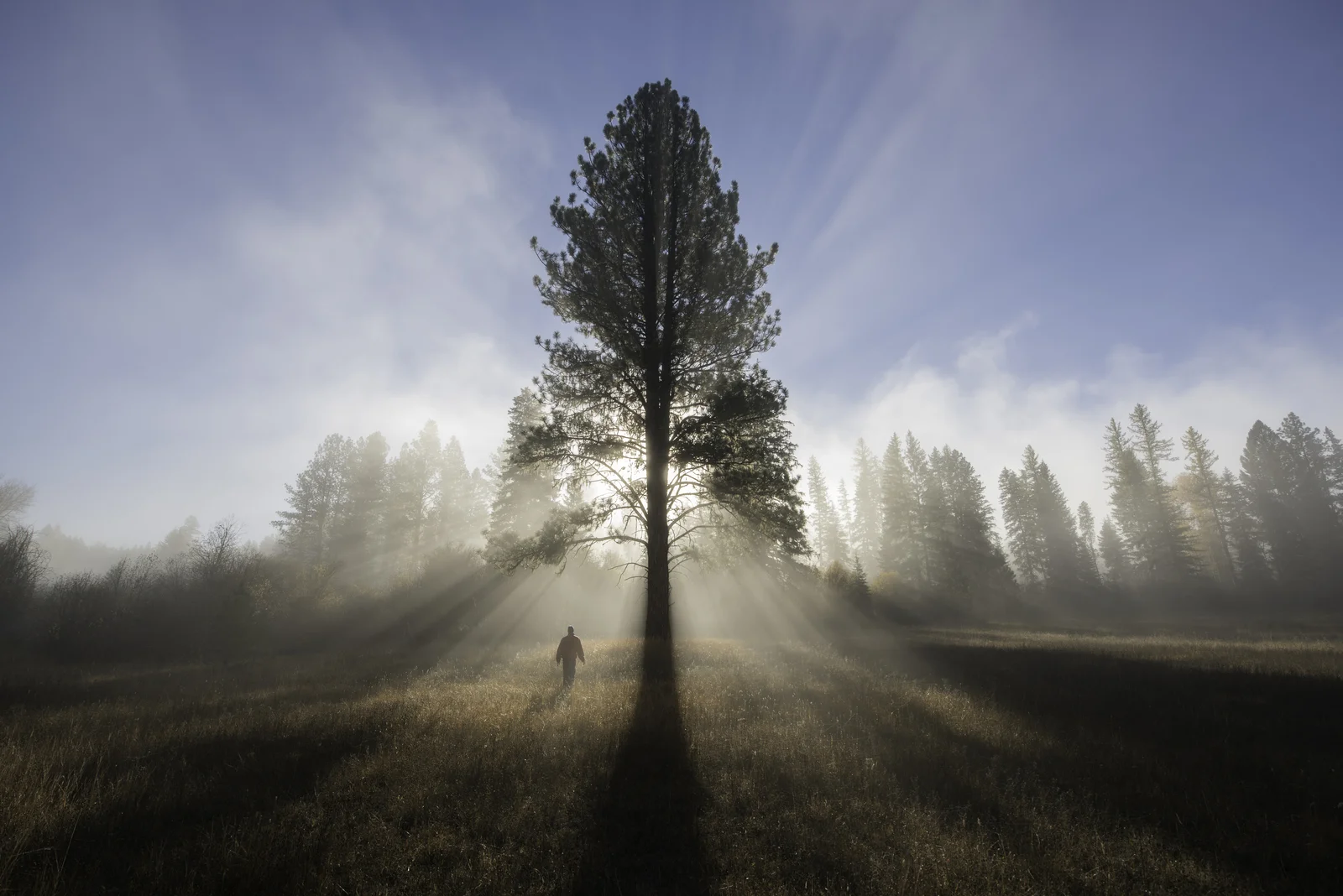 tnc_97259887_preview_cropped (1).jpg