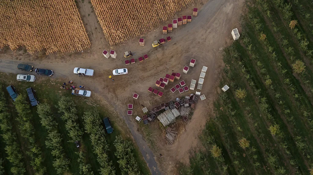 The Human/Nature Connection: Bounty