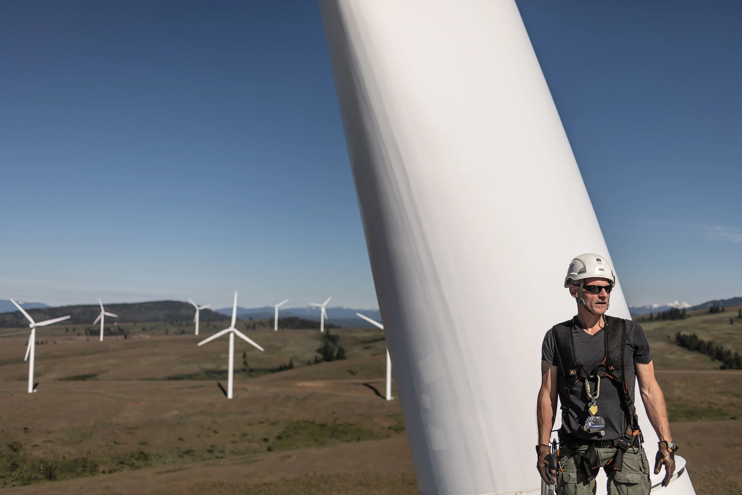 Join us in celebrating Washington's clean energy future